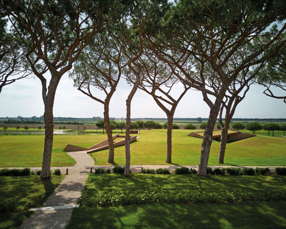 Cantina di Guado al Tasso
