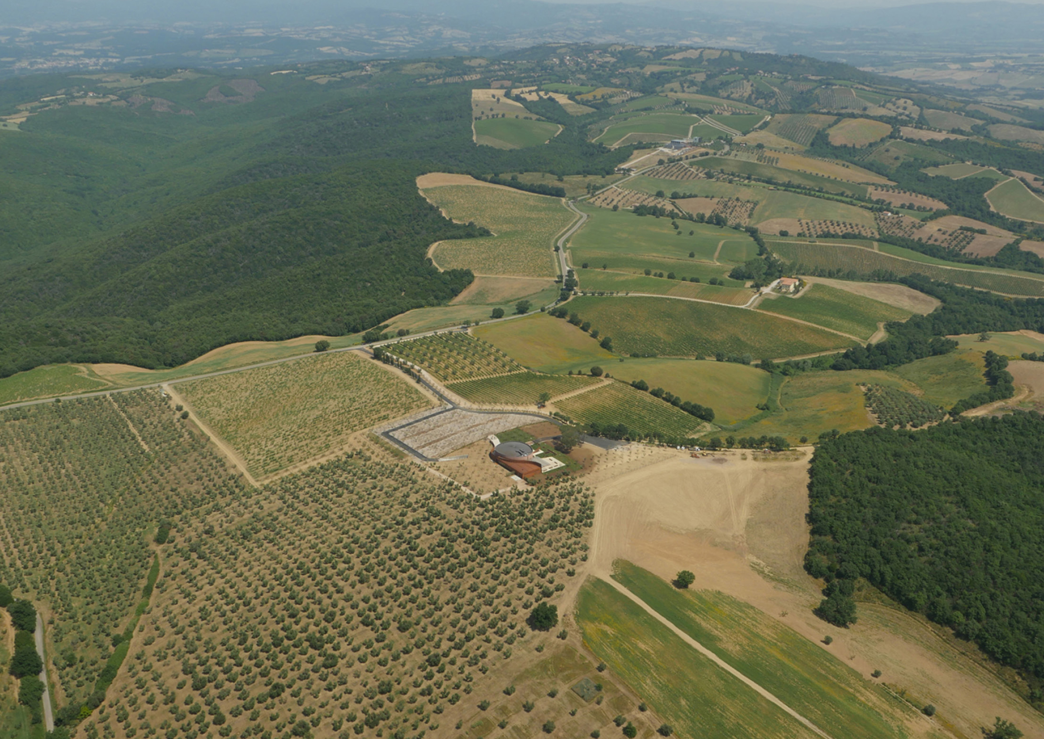 Fondazione Bertarelli