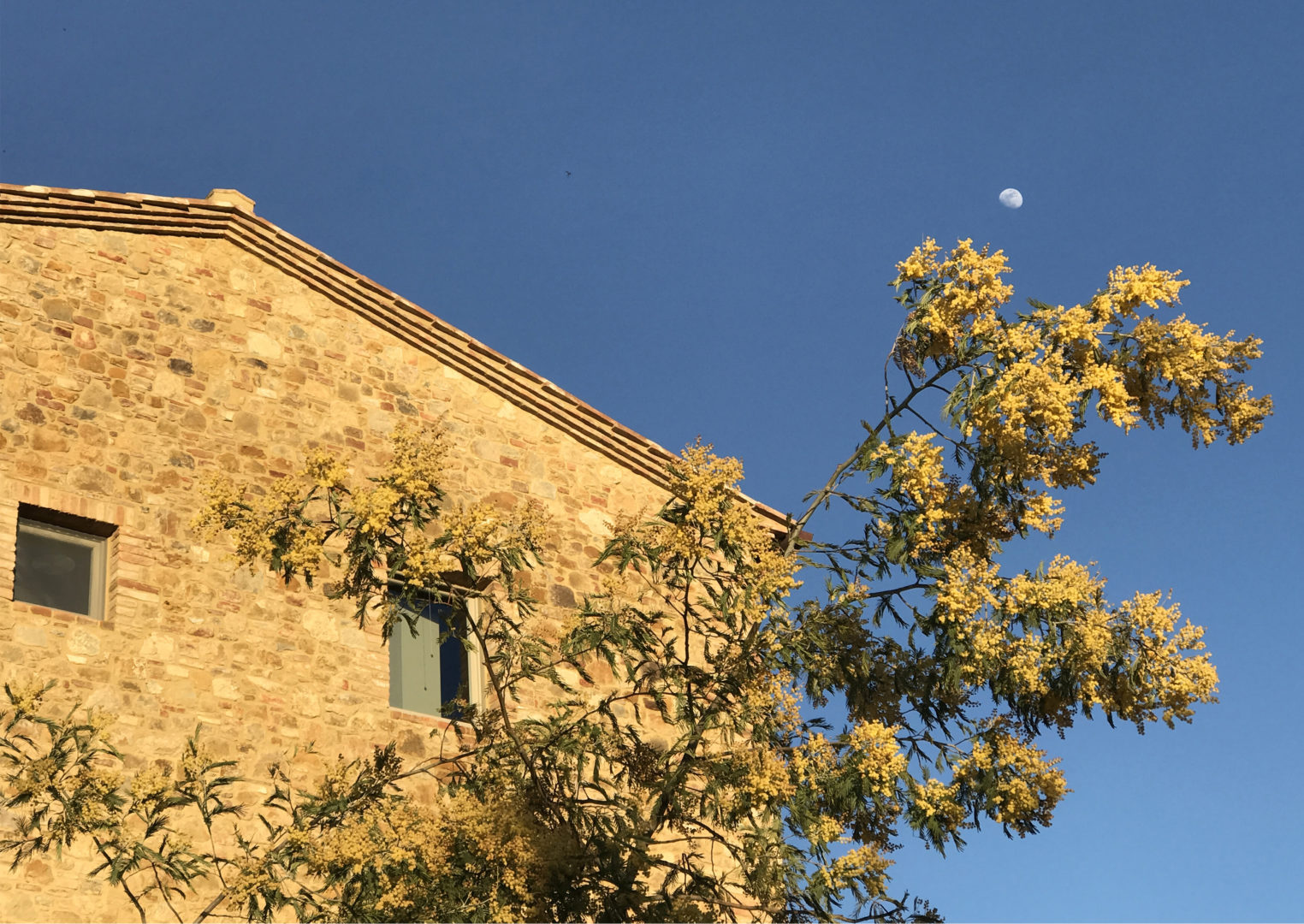 Casale Bovalico