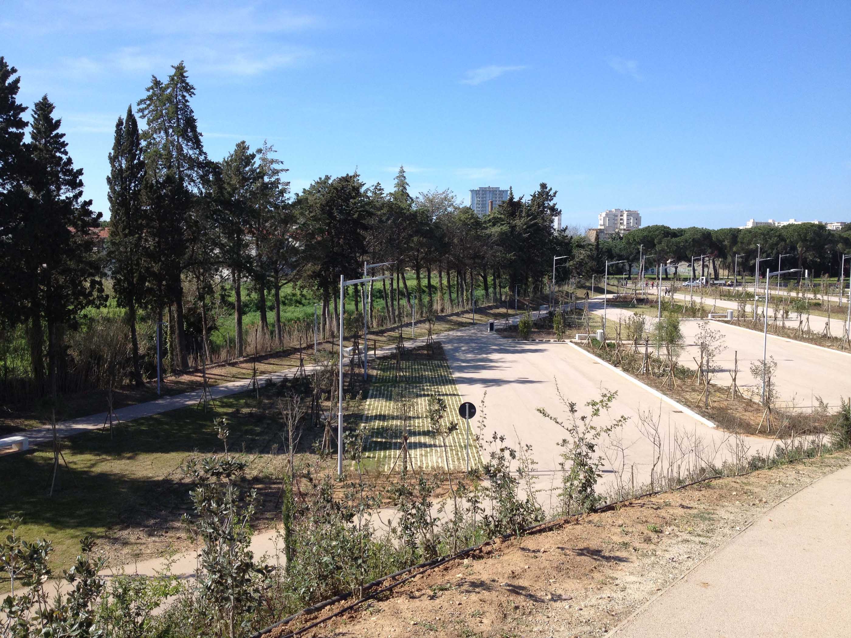 Arena spettacoli e area mercatale