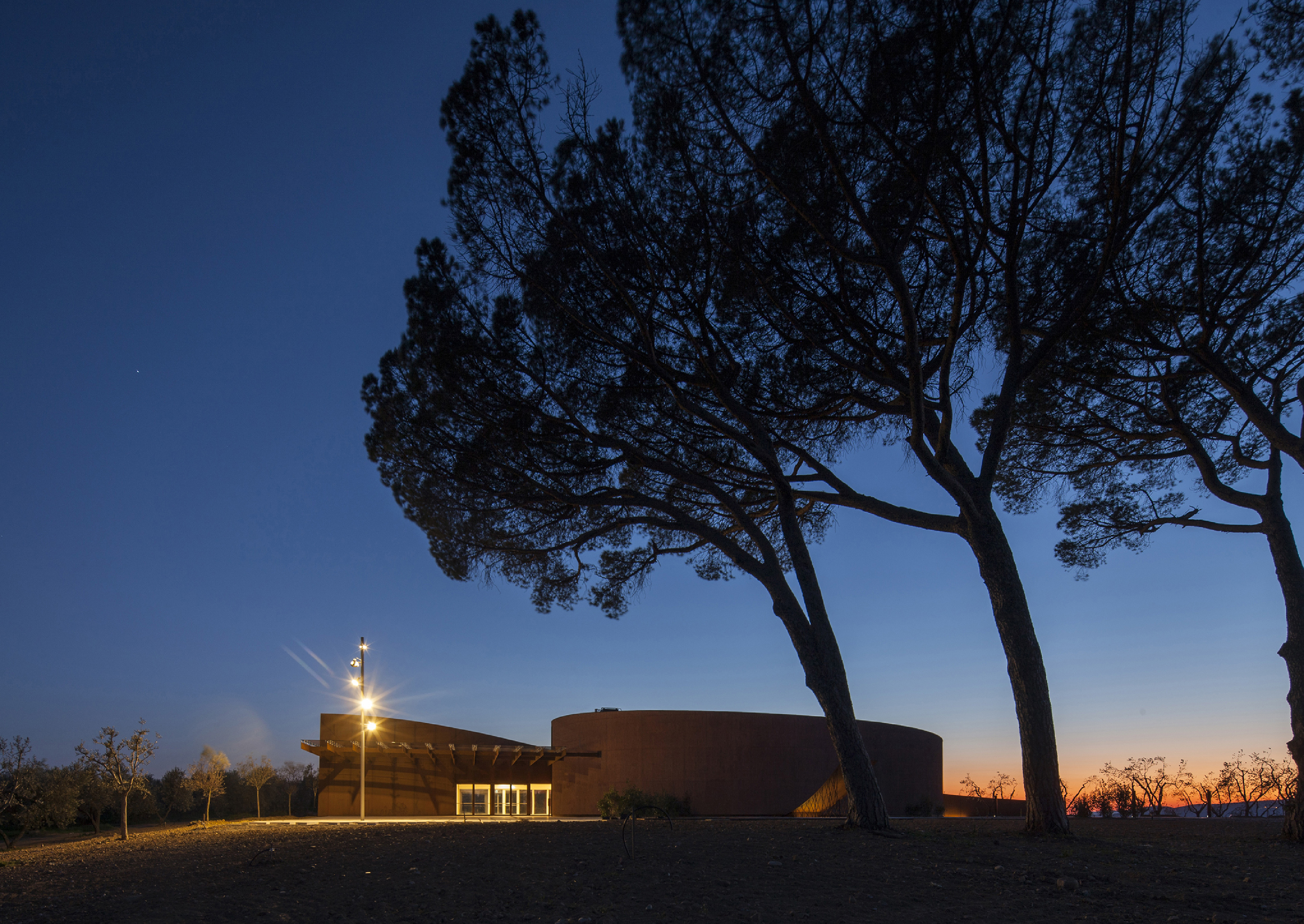 Fondazione Bertarelli