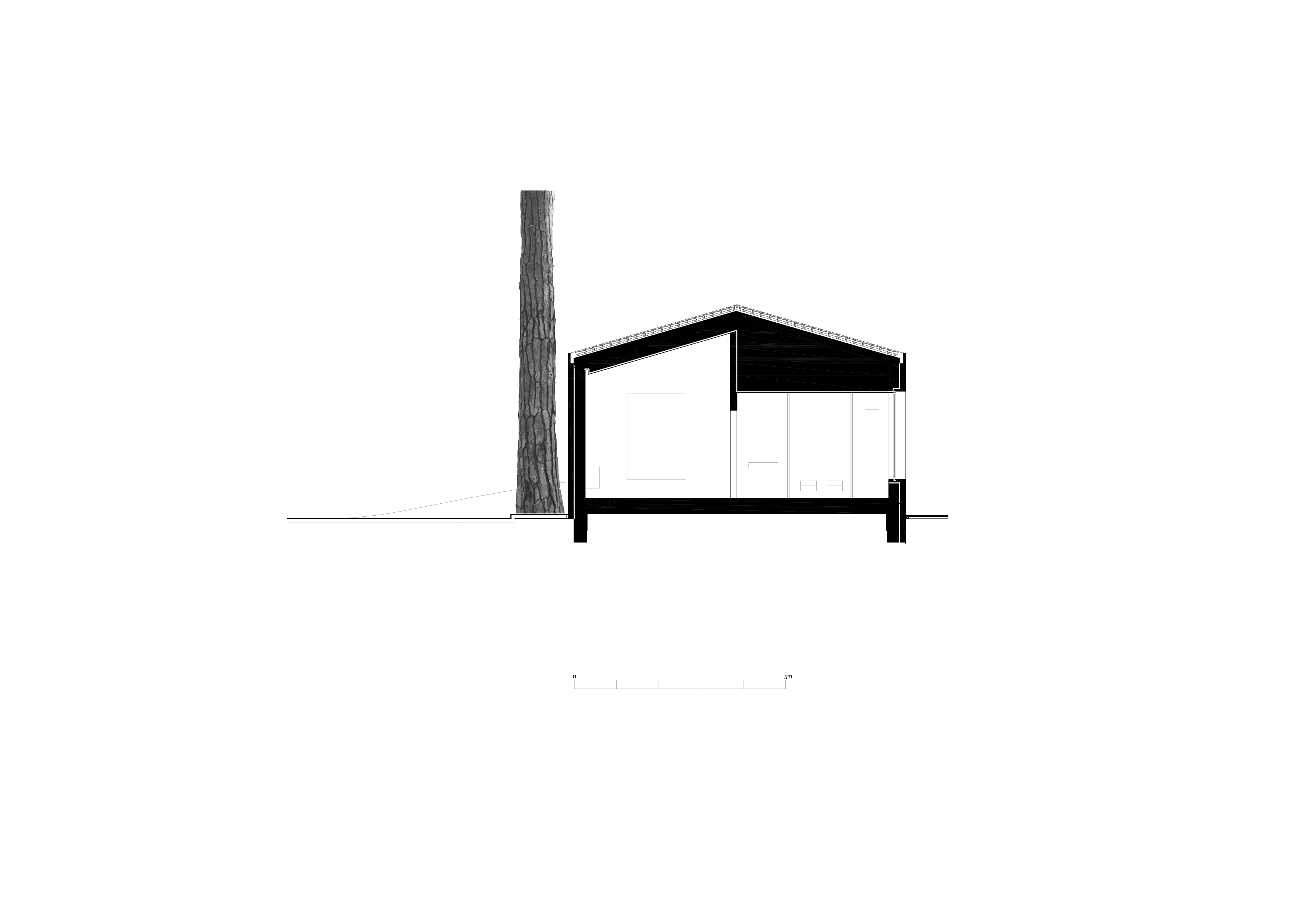Casa in una pineta