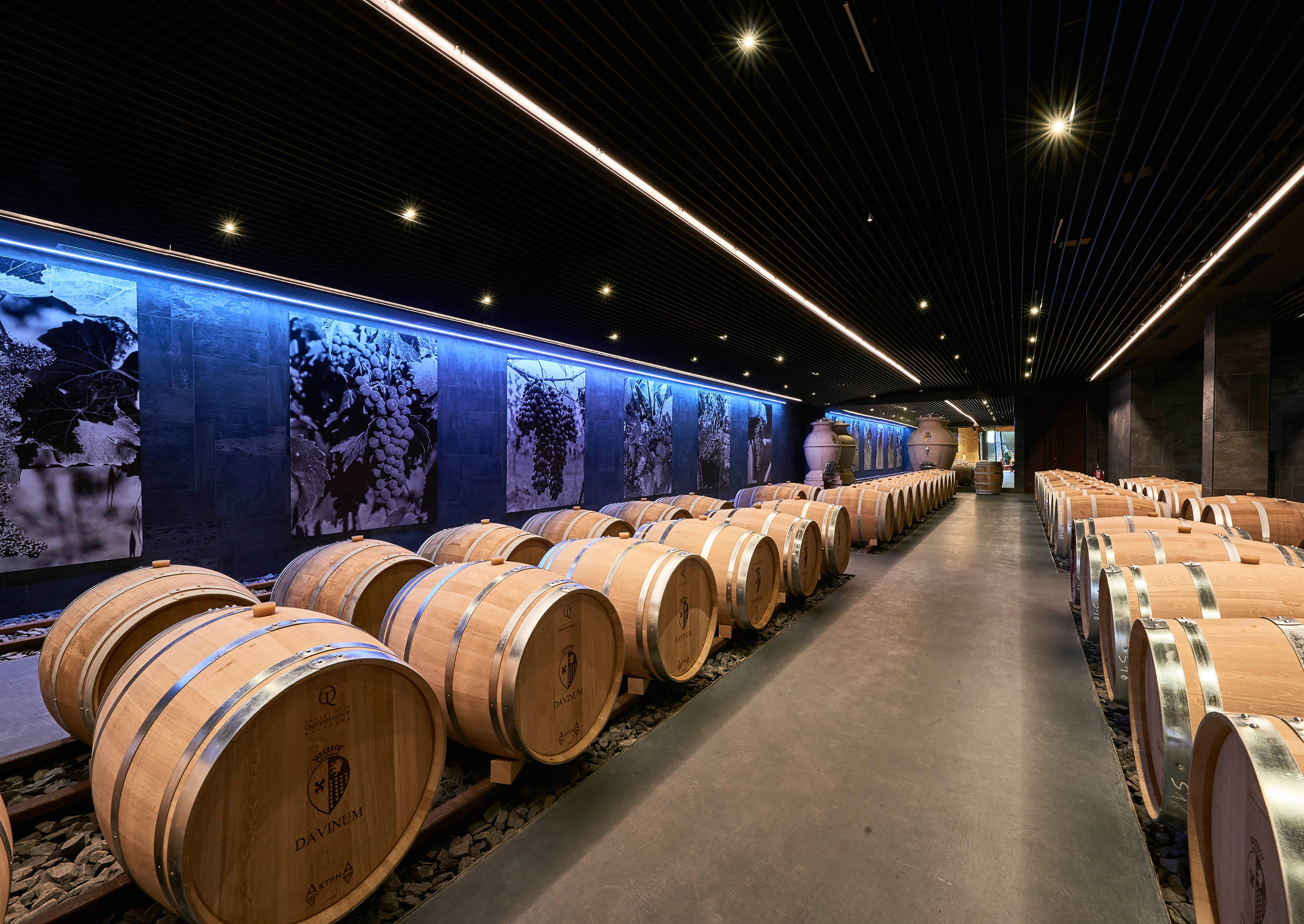Cantina vinicola Davinum