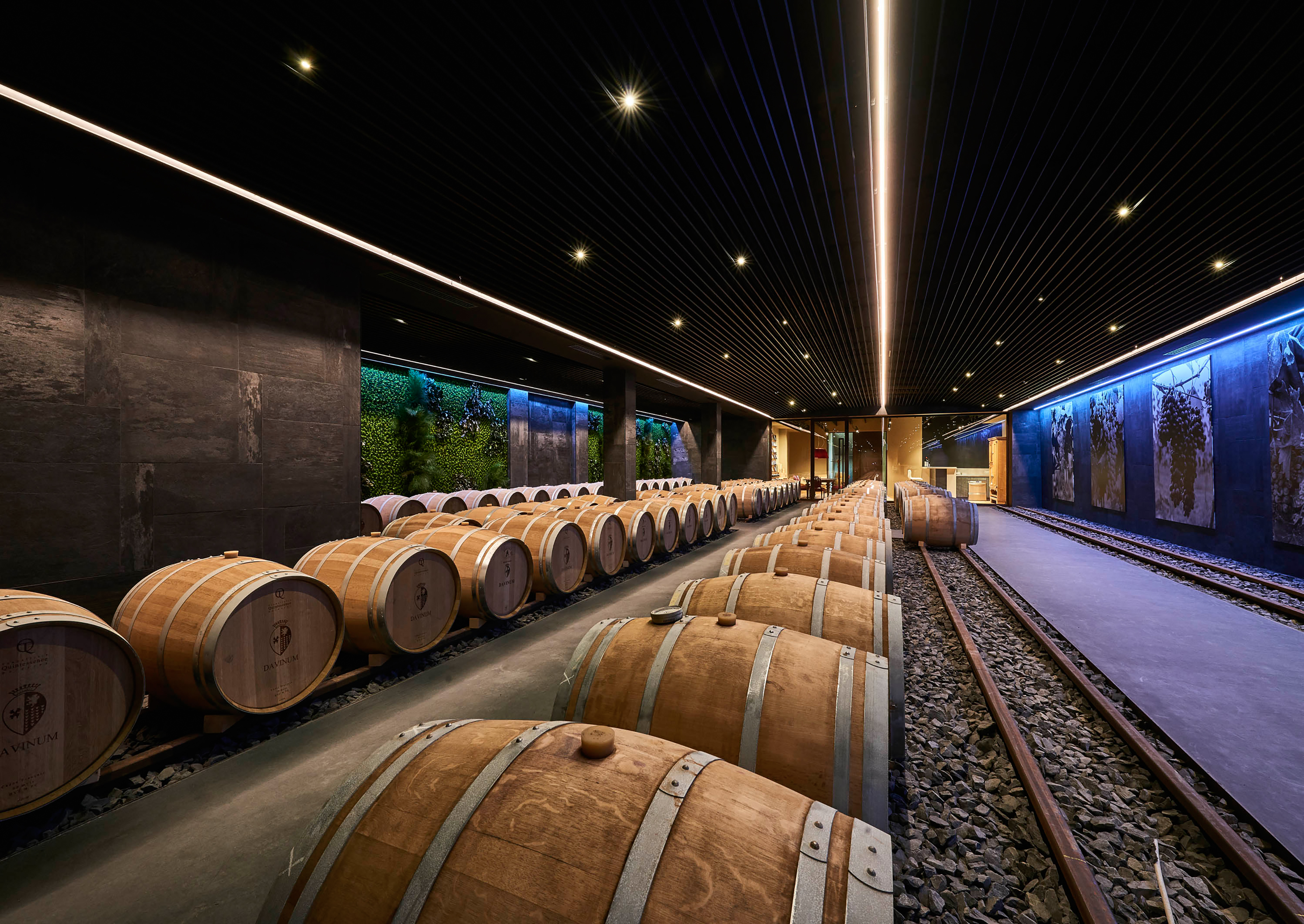 Cantina vinicola Davinum