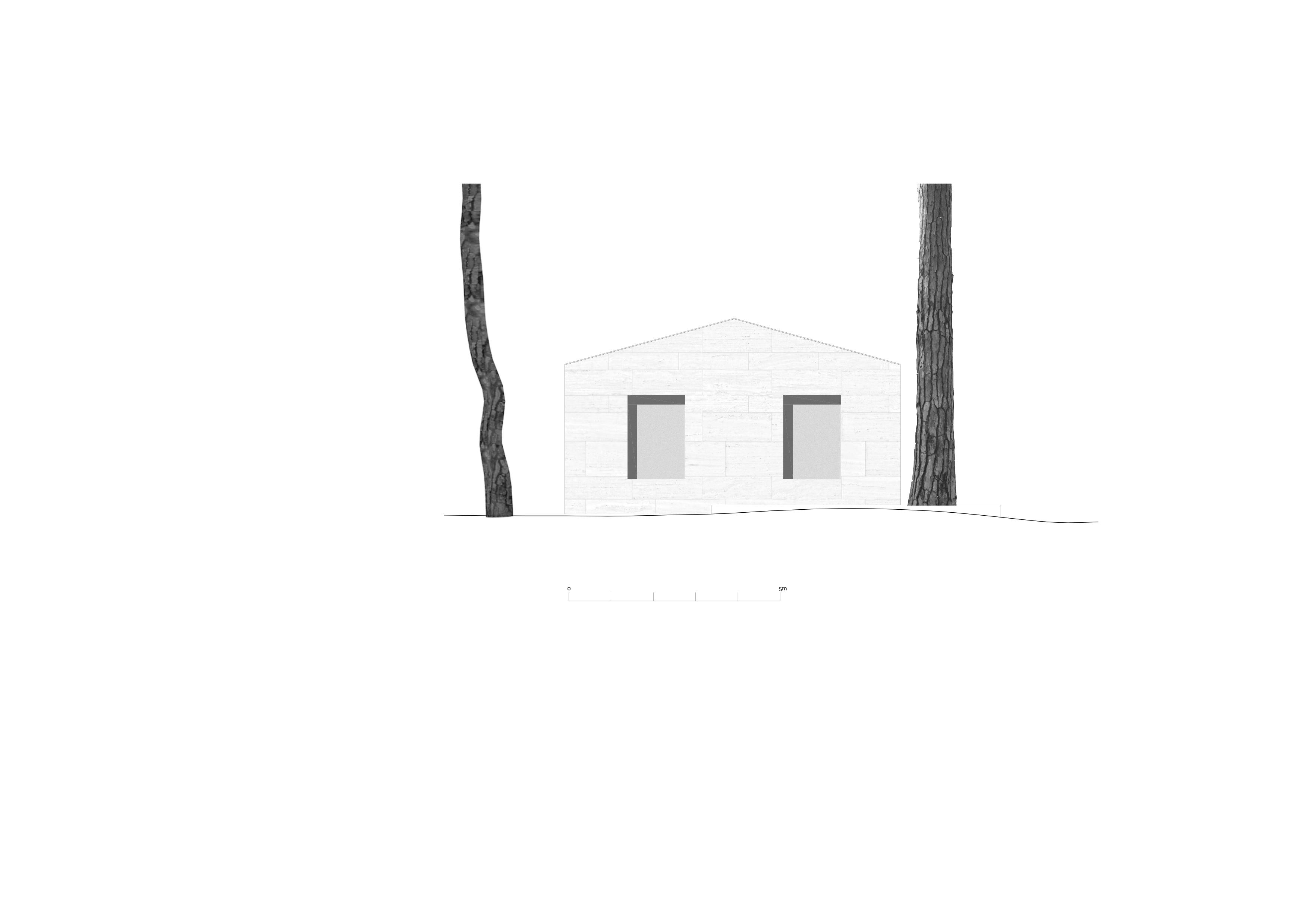 Casa in una pineta