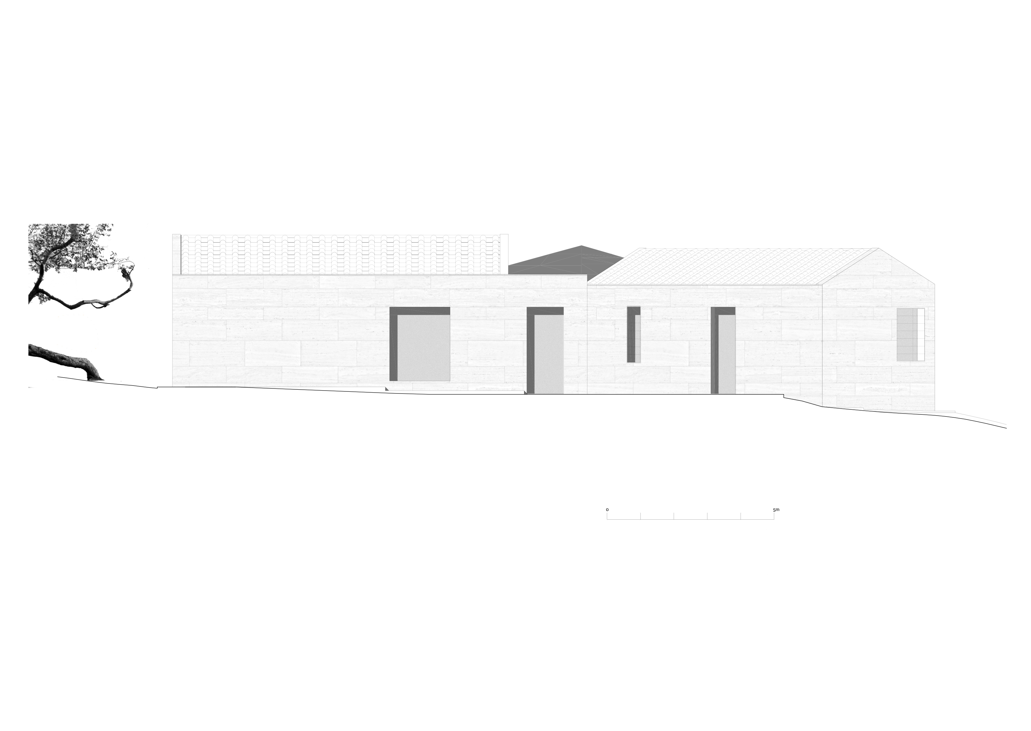 Casa in una pineta