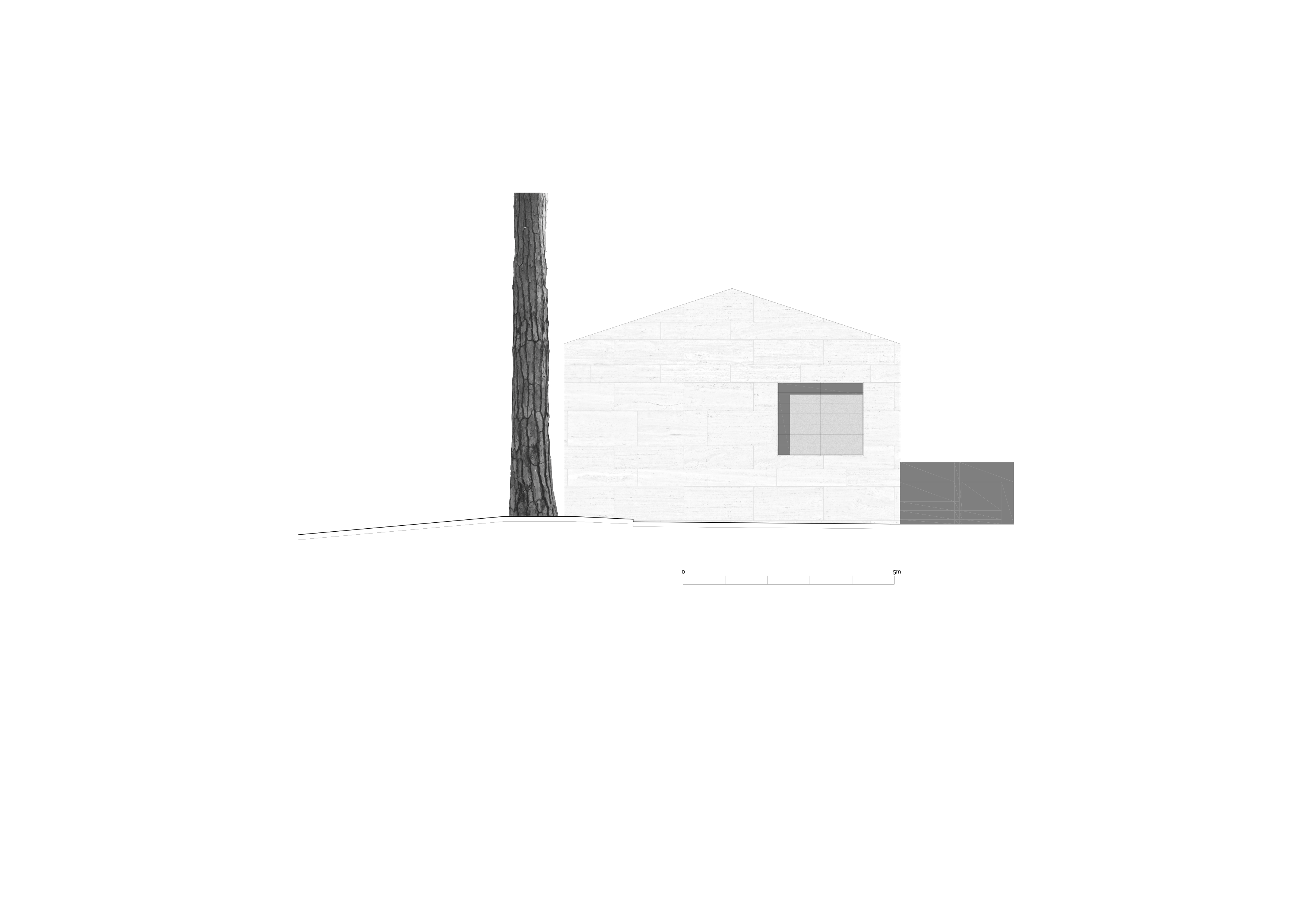Casa in una pineta