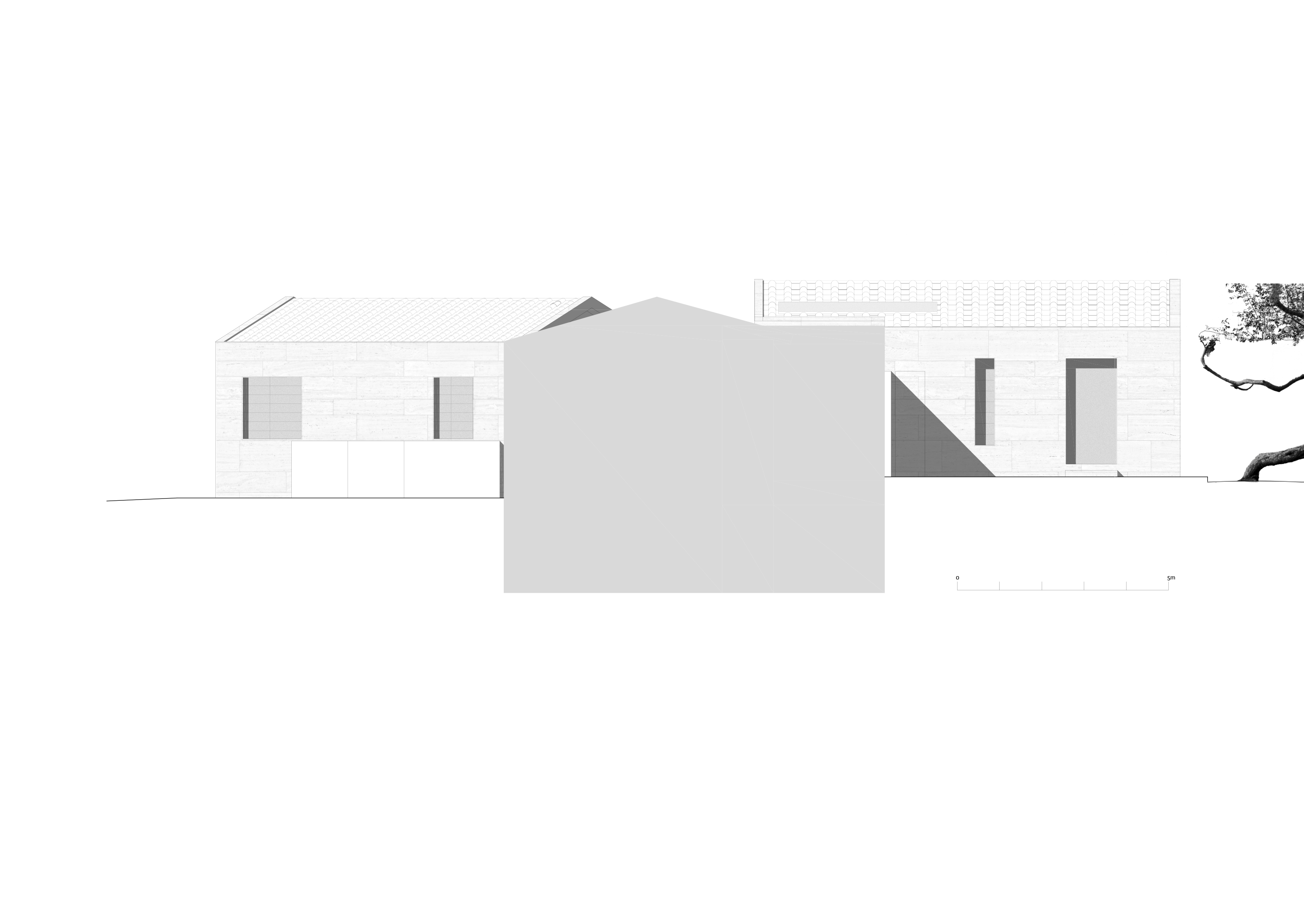 Casa in una pineta