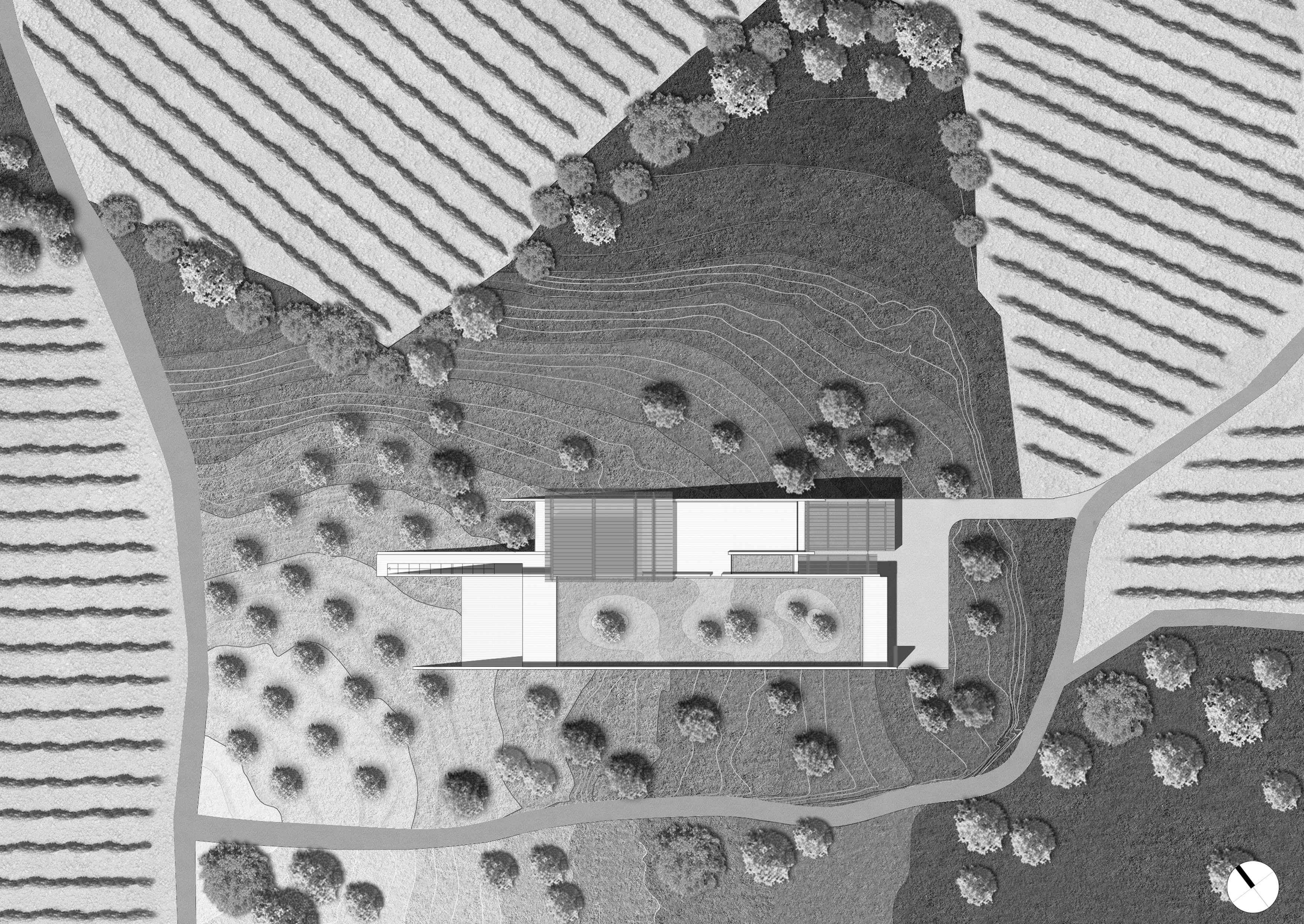 Cantina Podernuovo