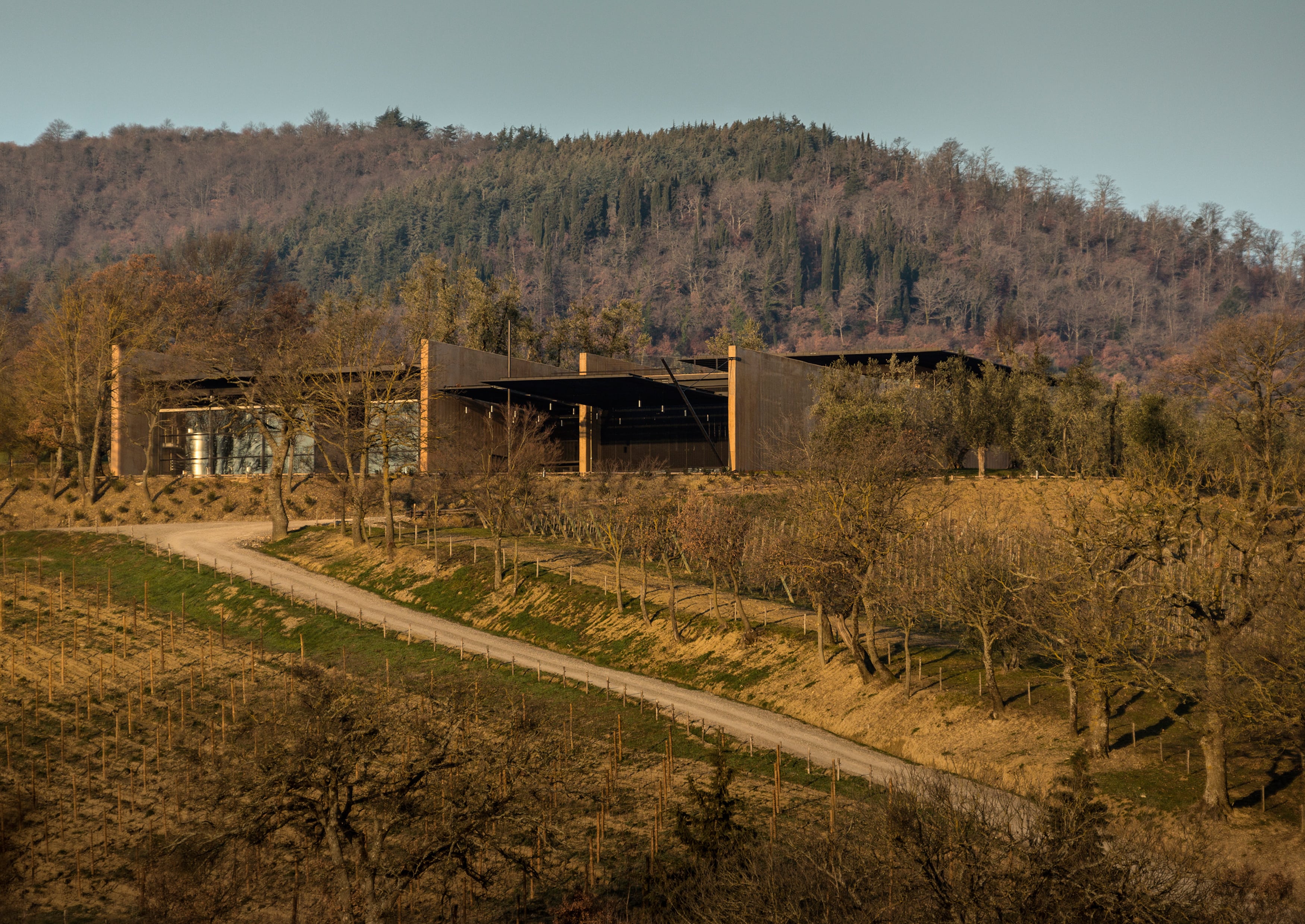 Cantina Podernuovo