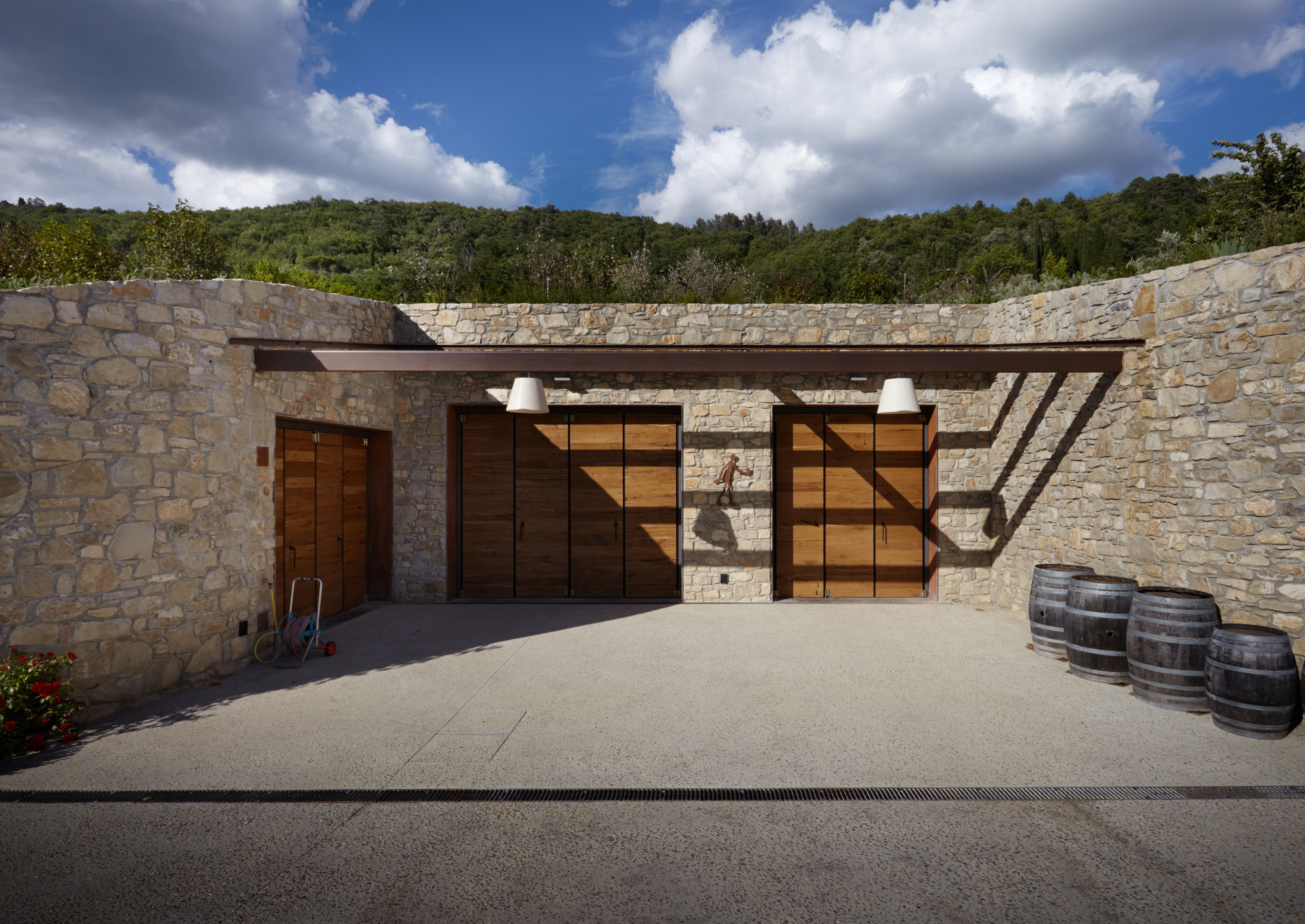 Cantina vinicola