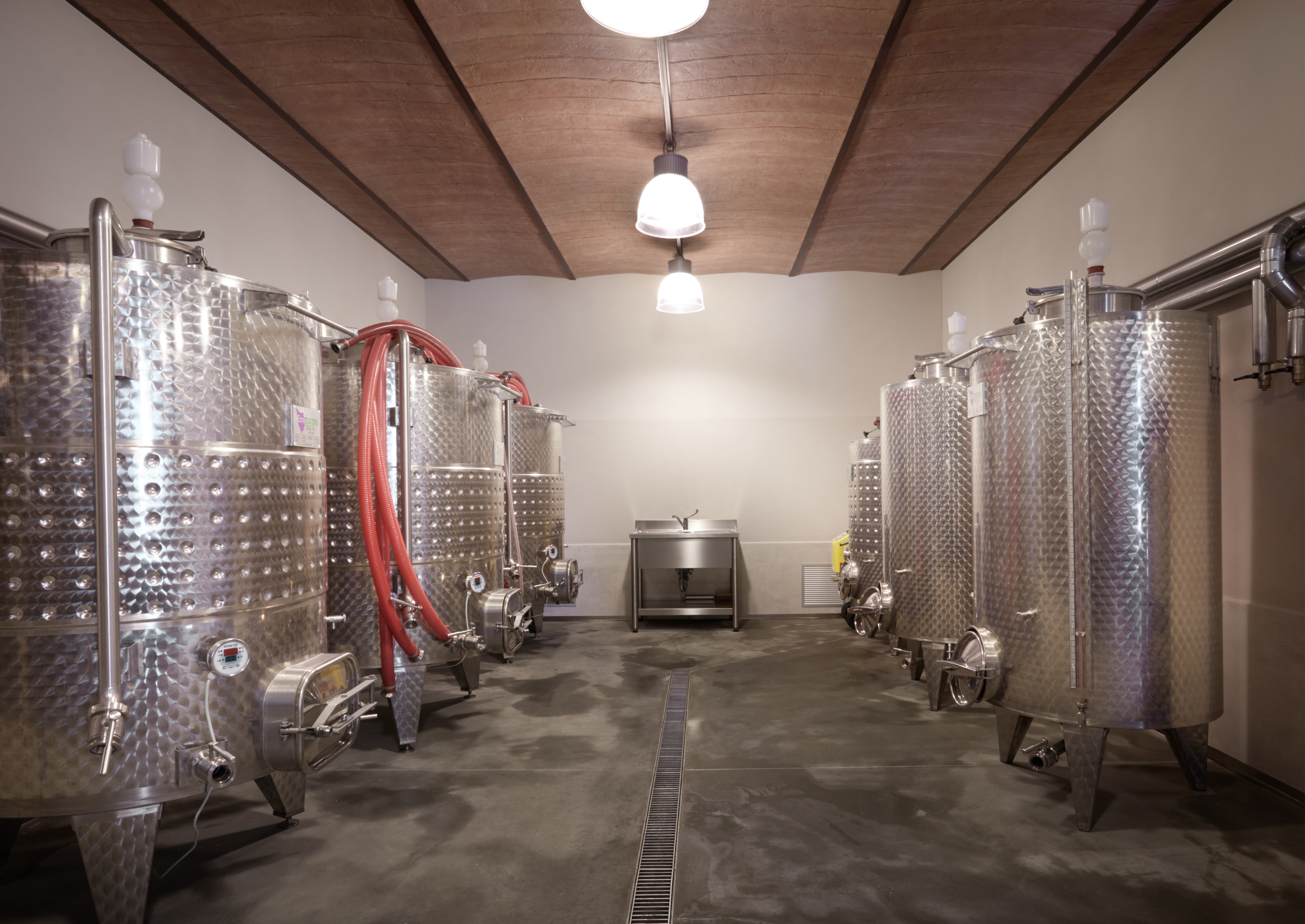 Cantina vinicola