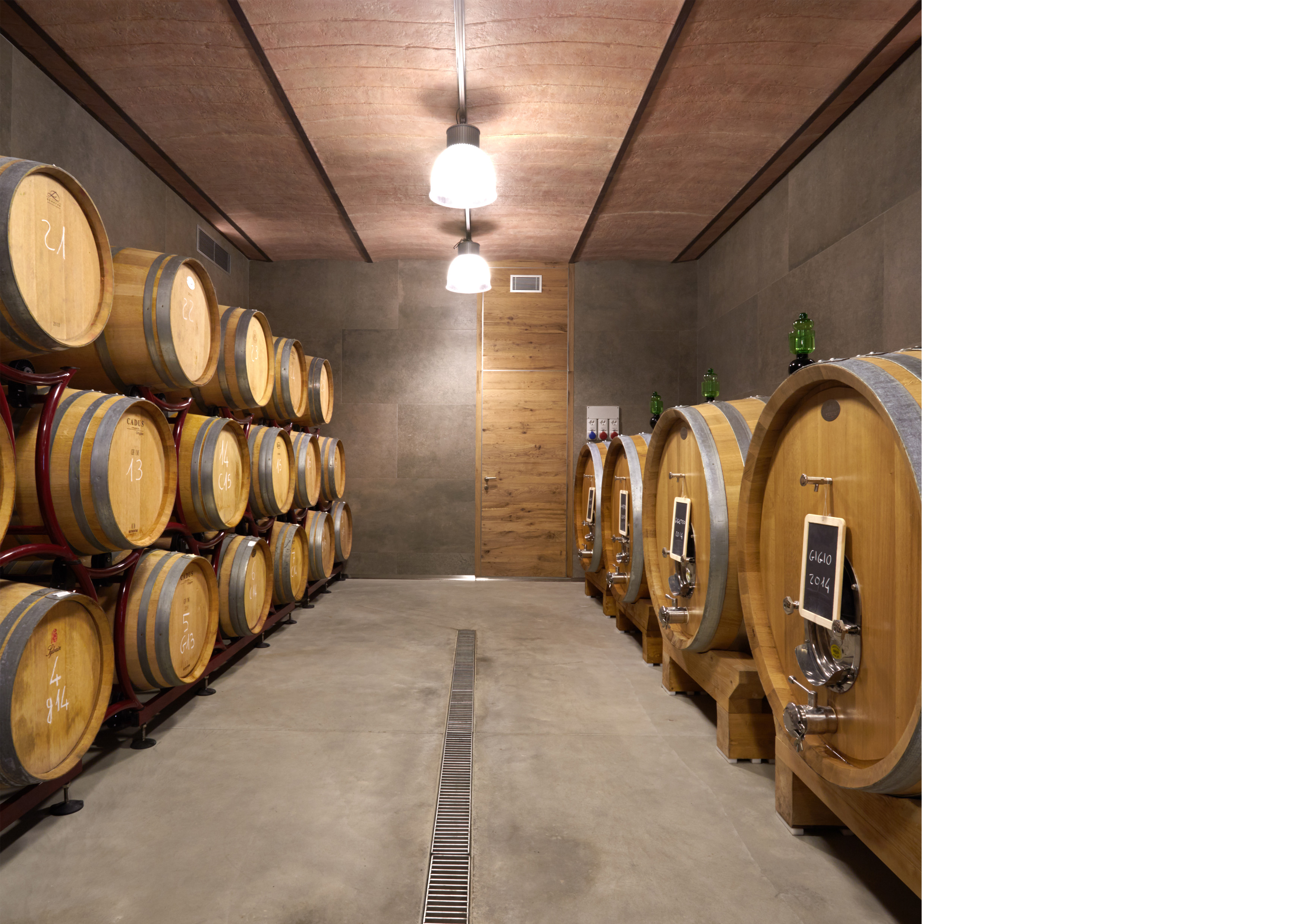 Cantina vinicola
