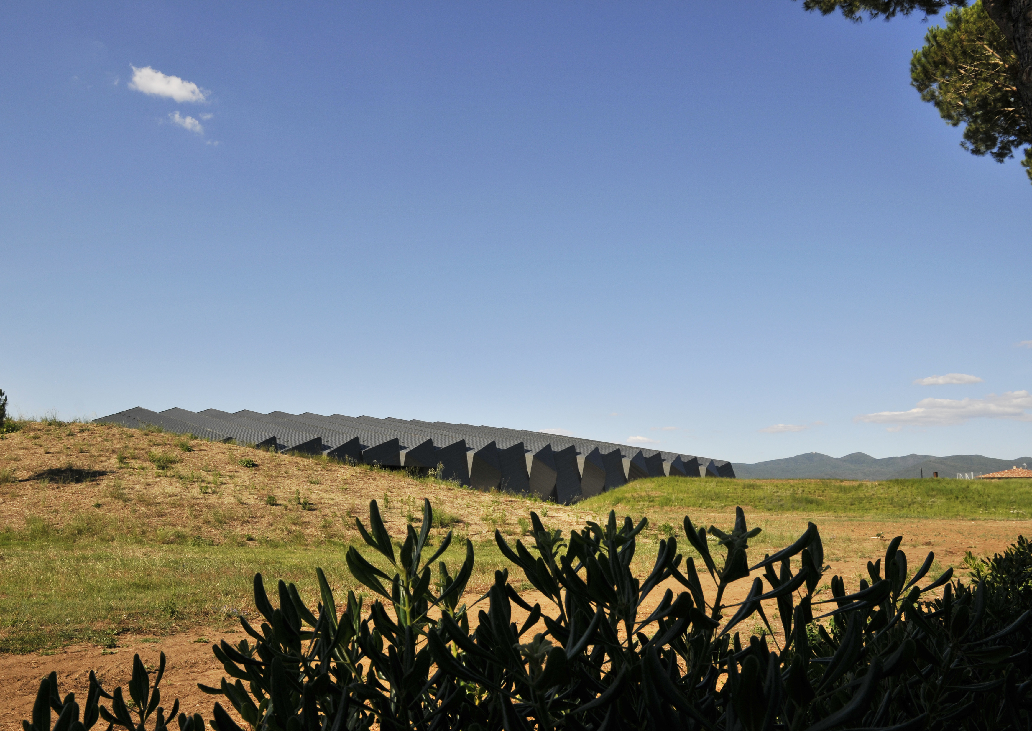 Cantina del Bruciato