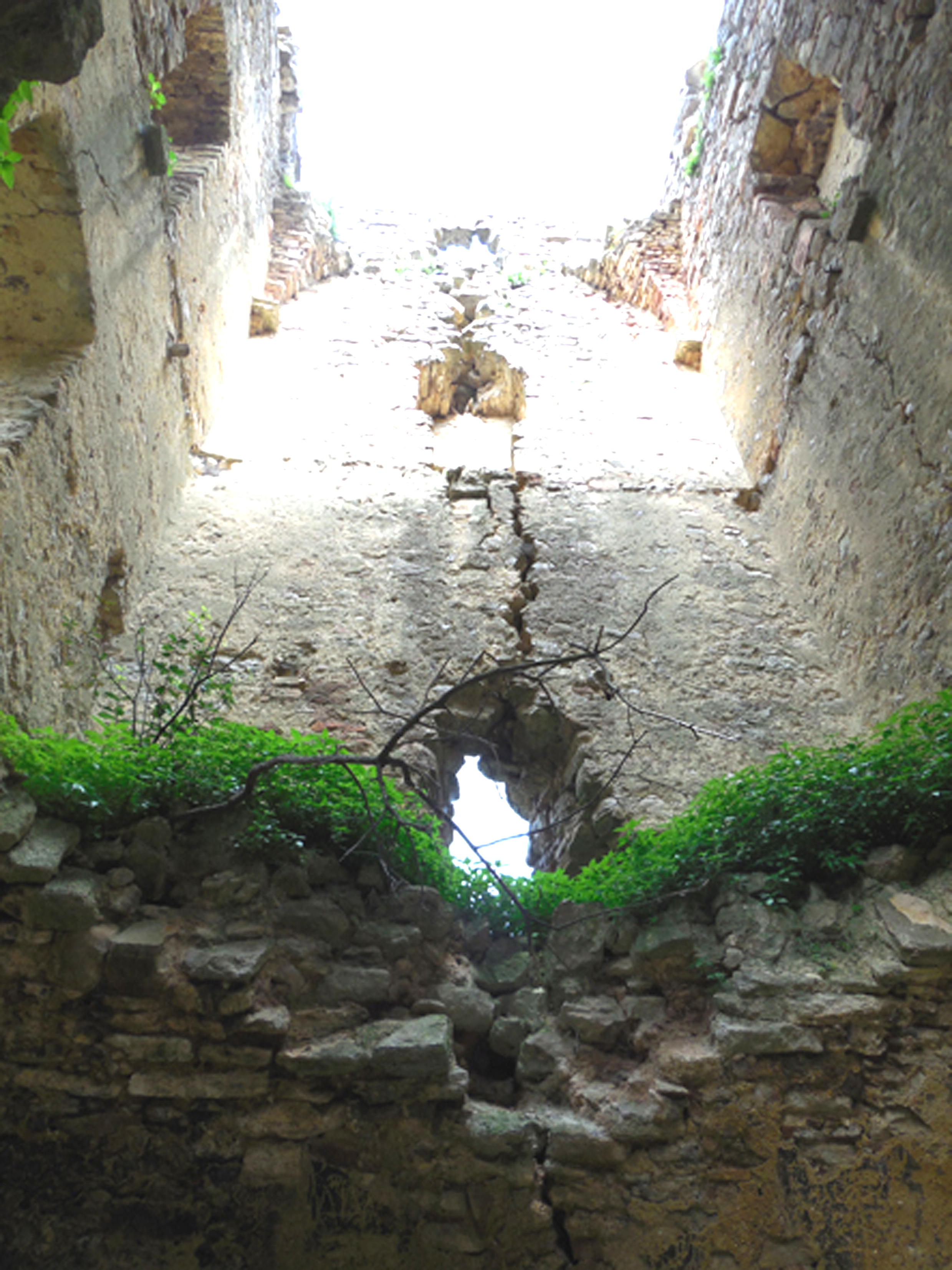 Torre di Montalceto o di Sant’Alberto