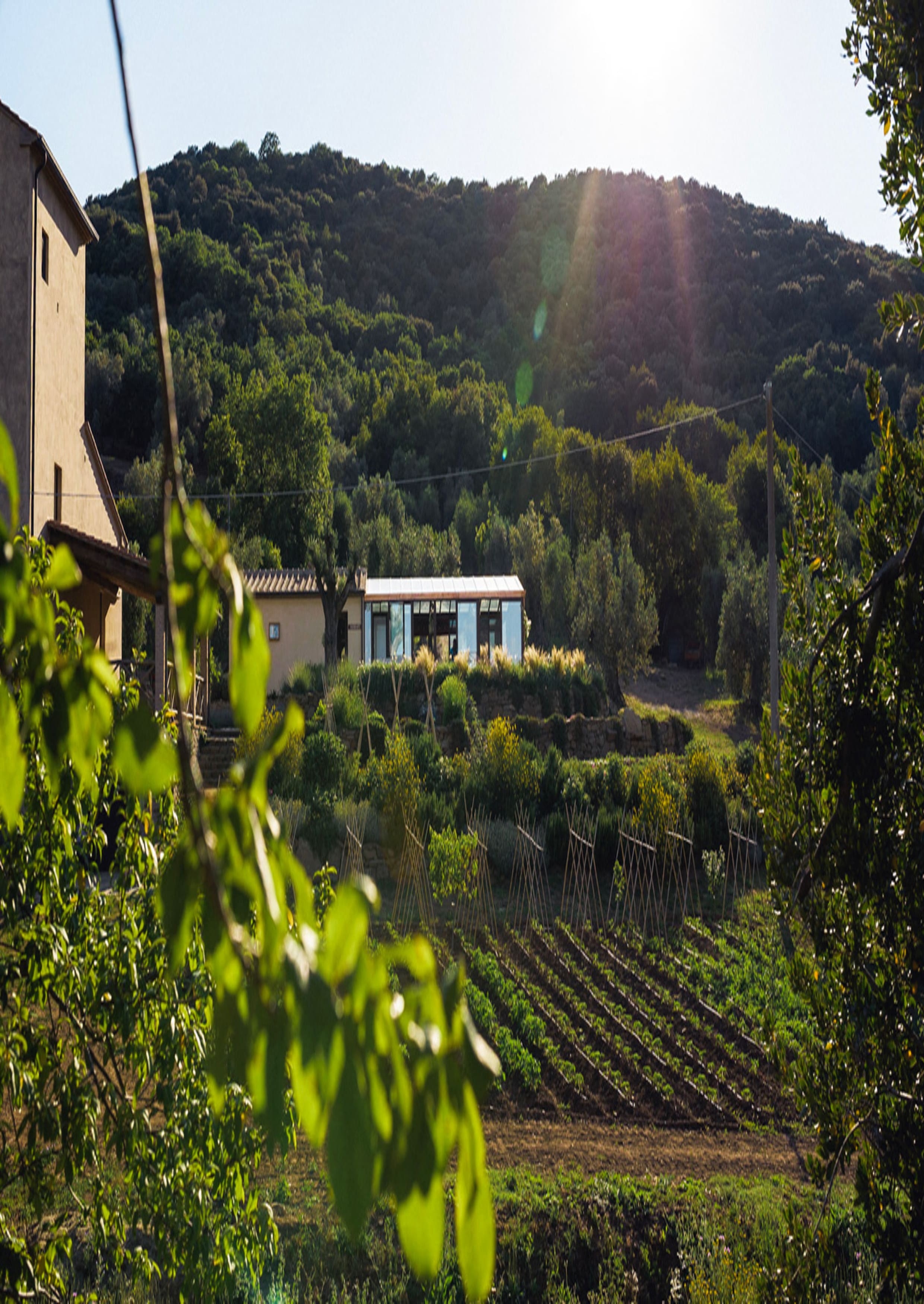 Ristorante Torre di Baratti – Bio Resort