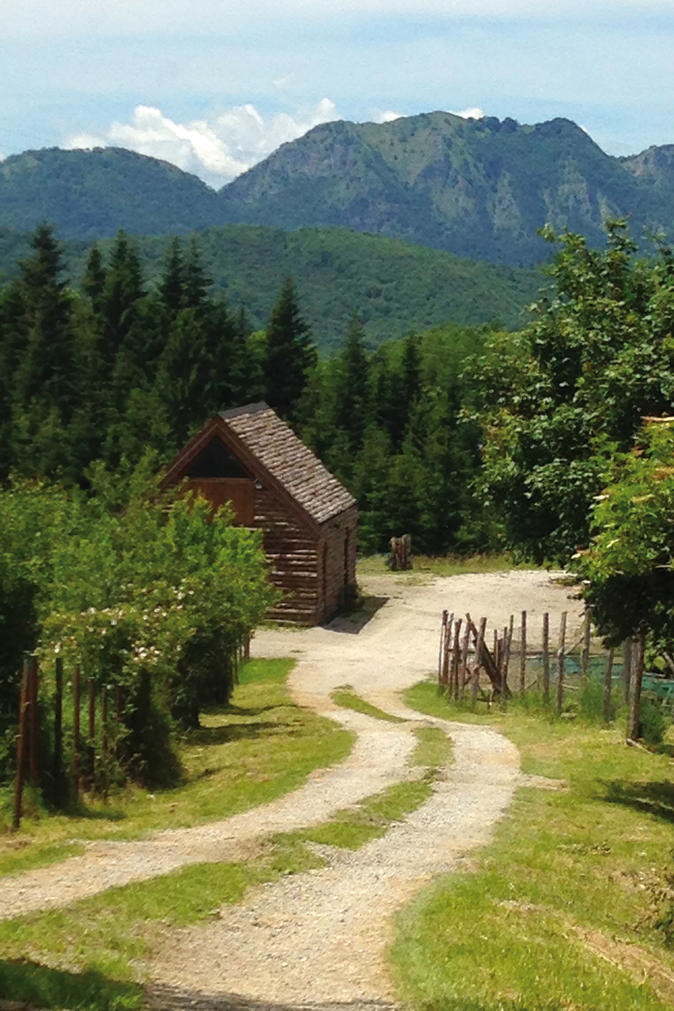 Legnaia “Campo alla Cesta”