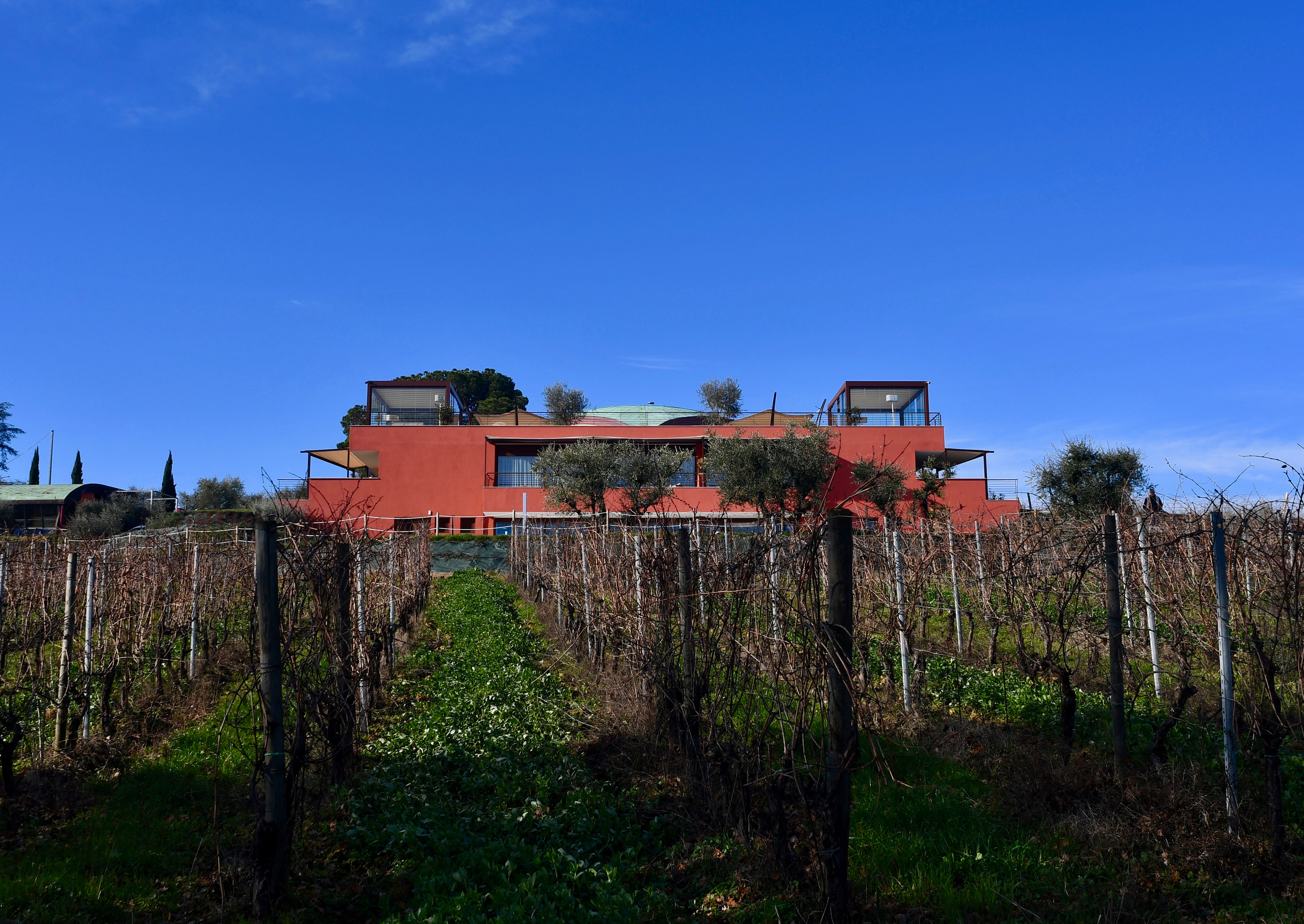 Buonamico Wine Resort