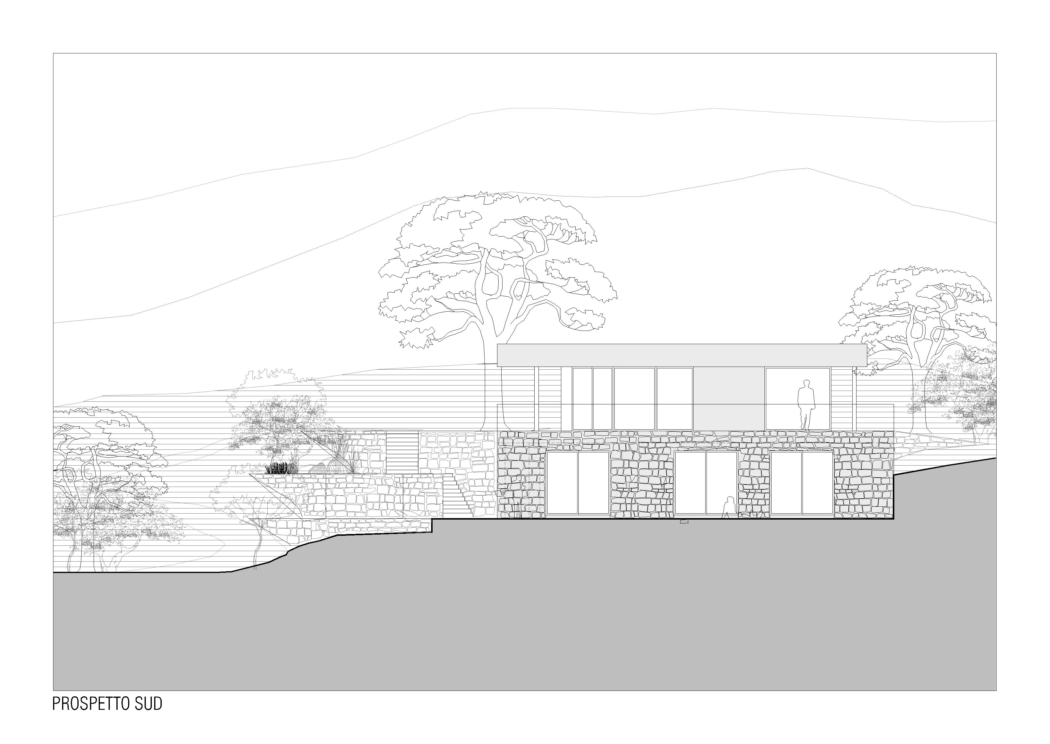 Domus C
