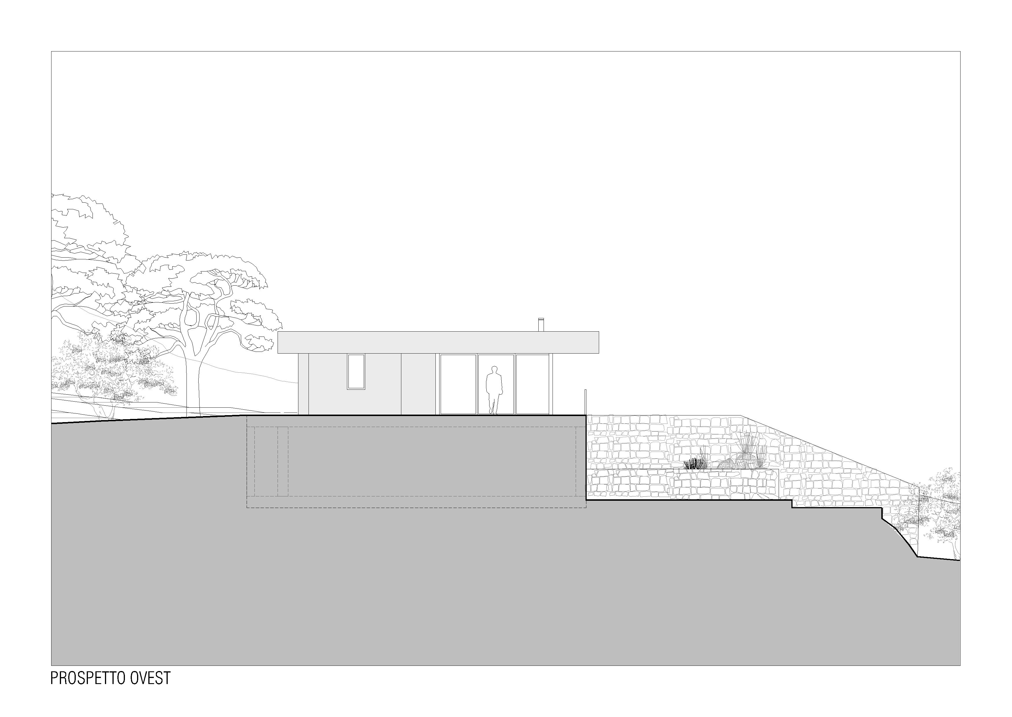 Domus C