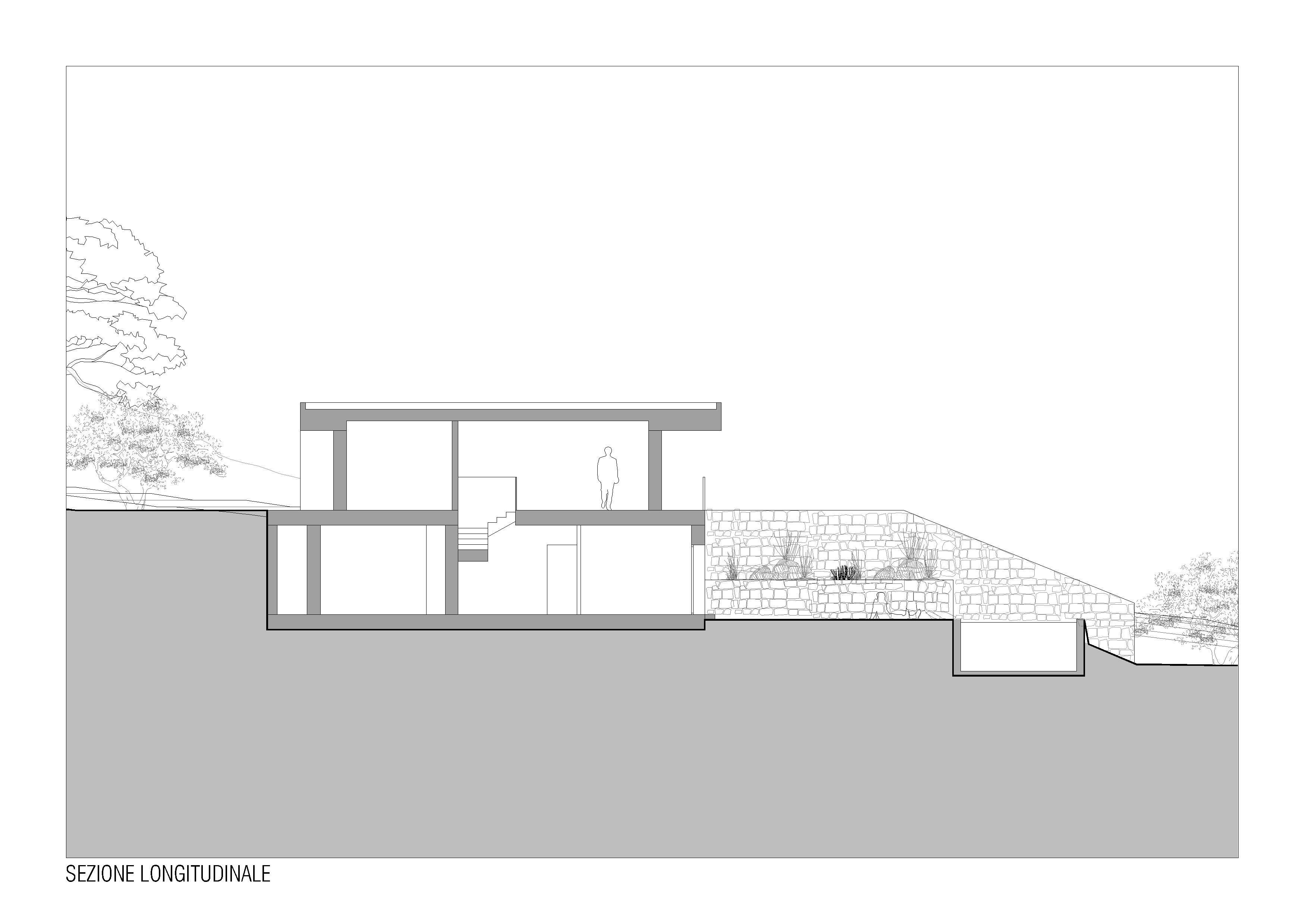 Domus C