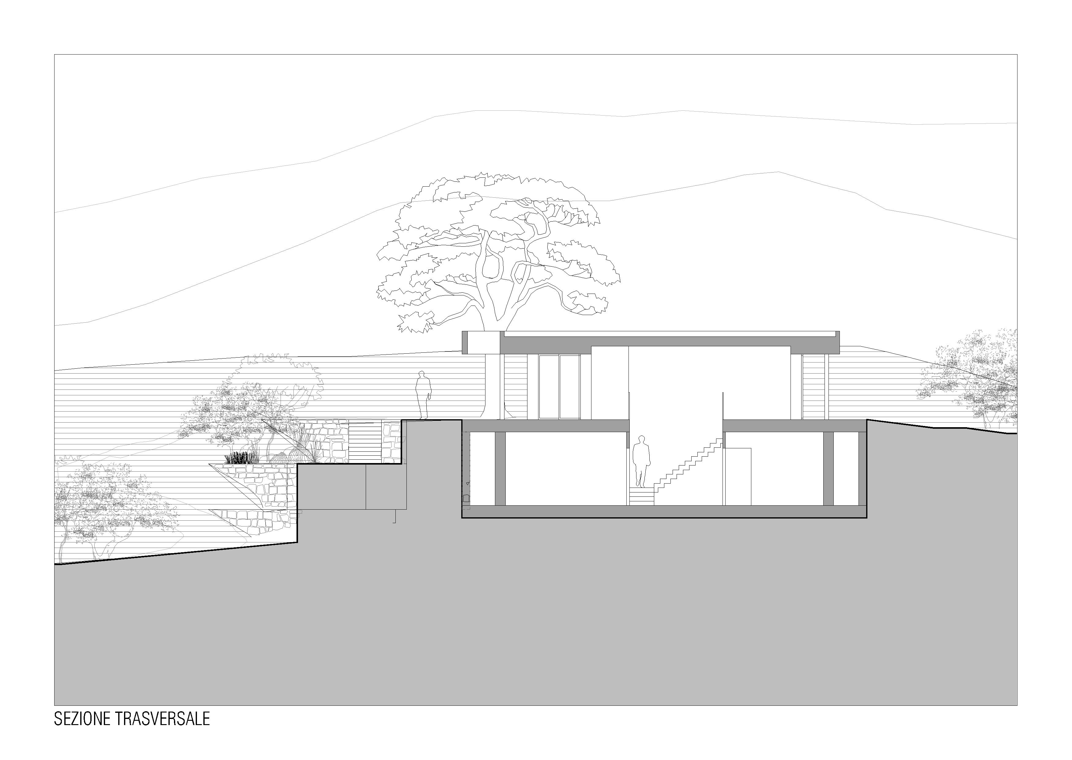 Domus C