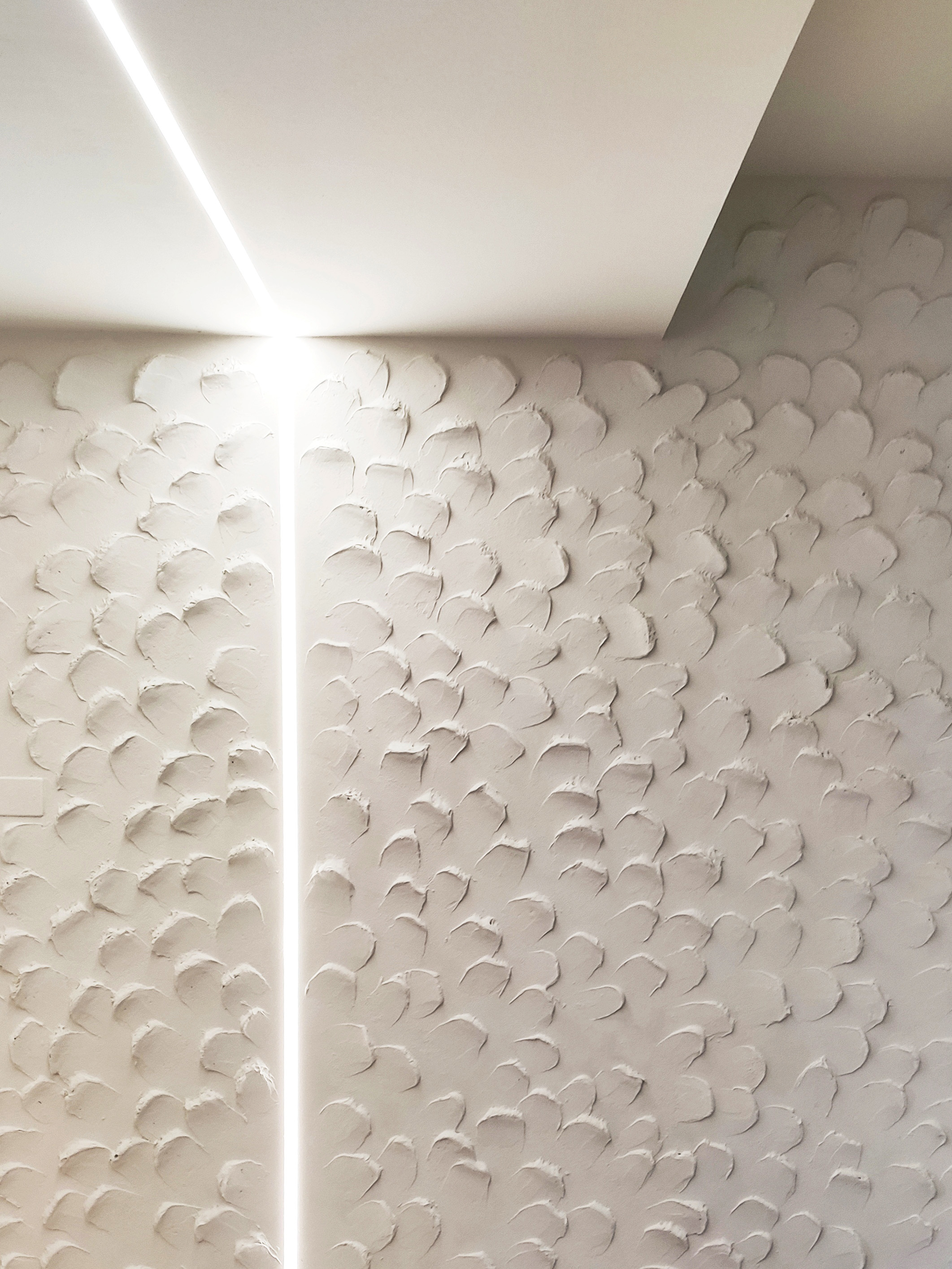 Casa R+S