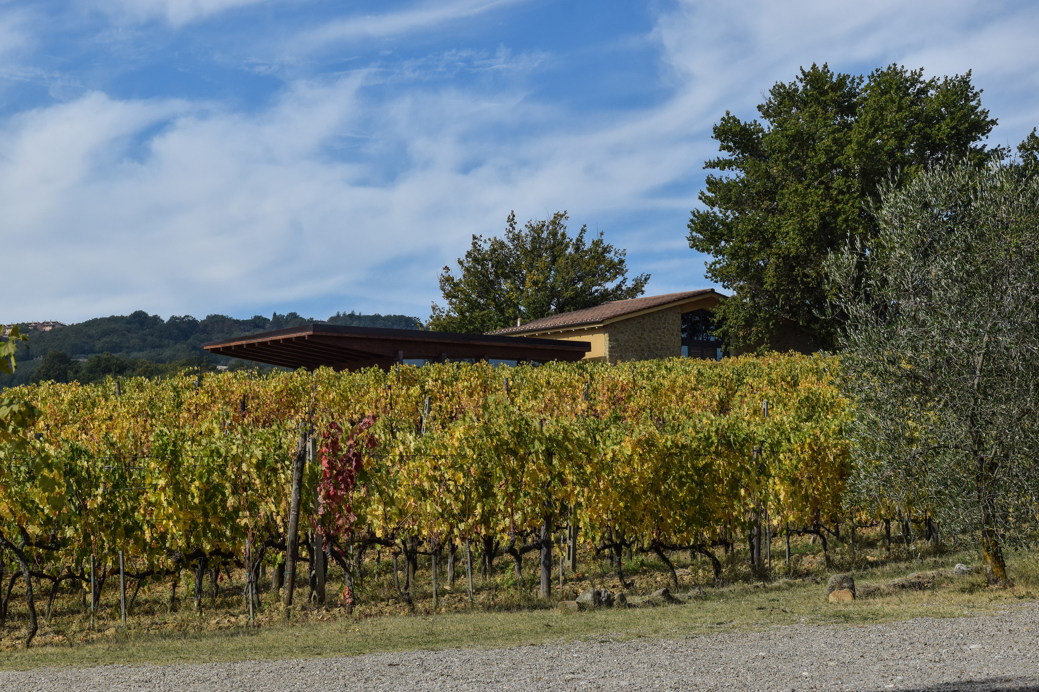 Sala degustazione dell’azienda agricola “Fornacina”