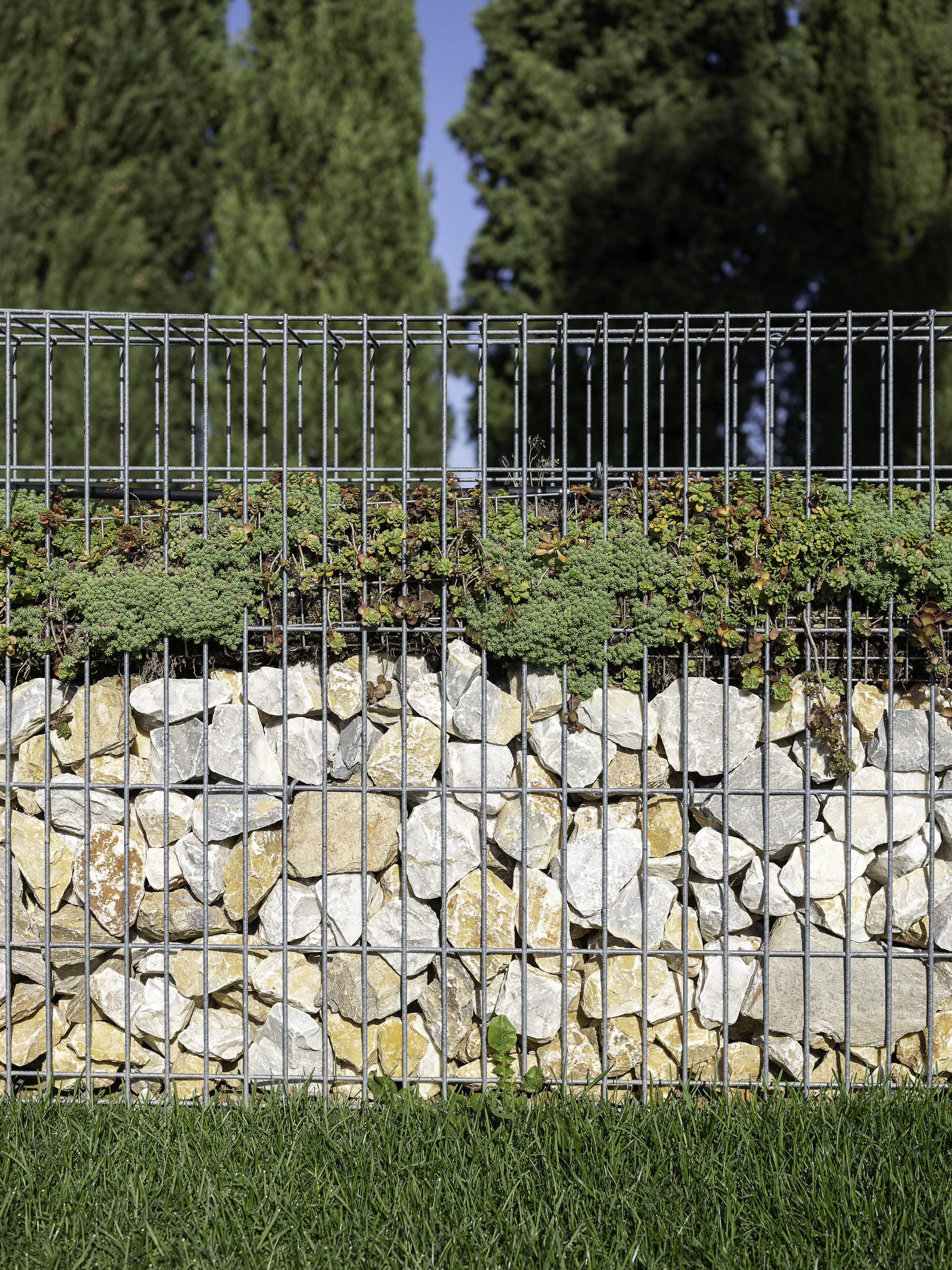 Cimitero