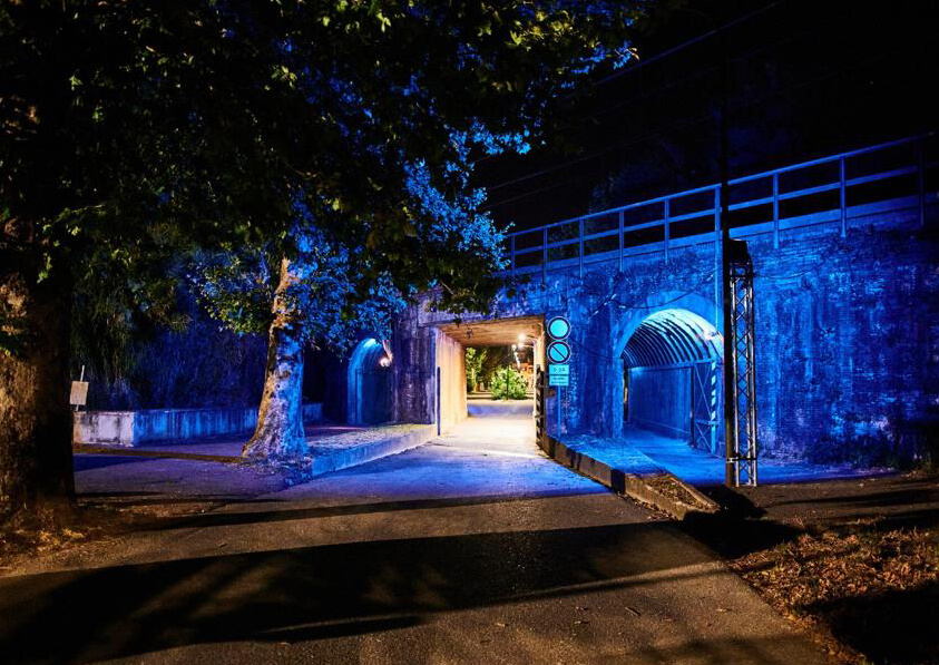 Ambrogiana Fool Park