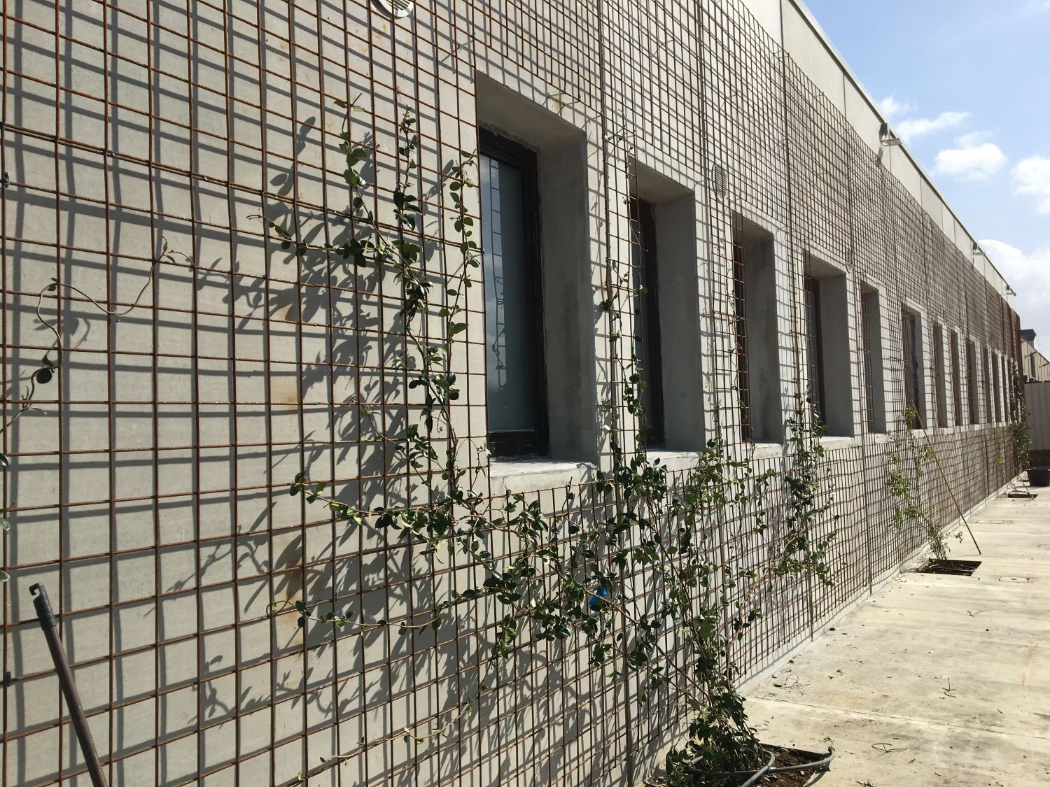 Palestra scuola media “Don Bosco”