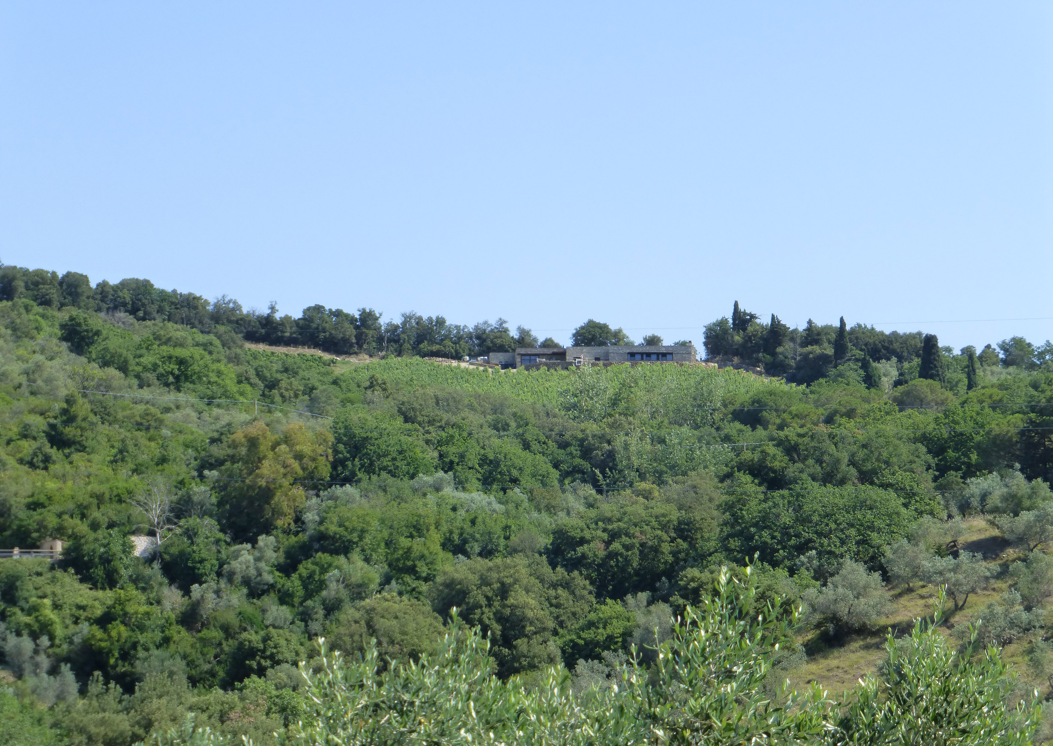 Cantina vinicola “I Mandorli”