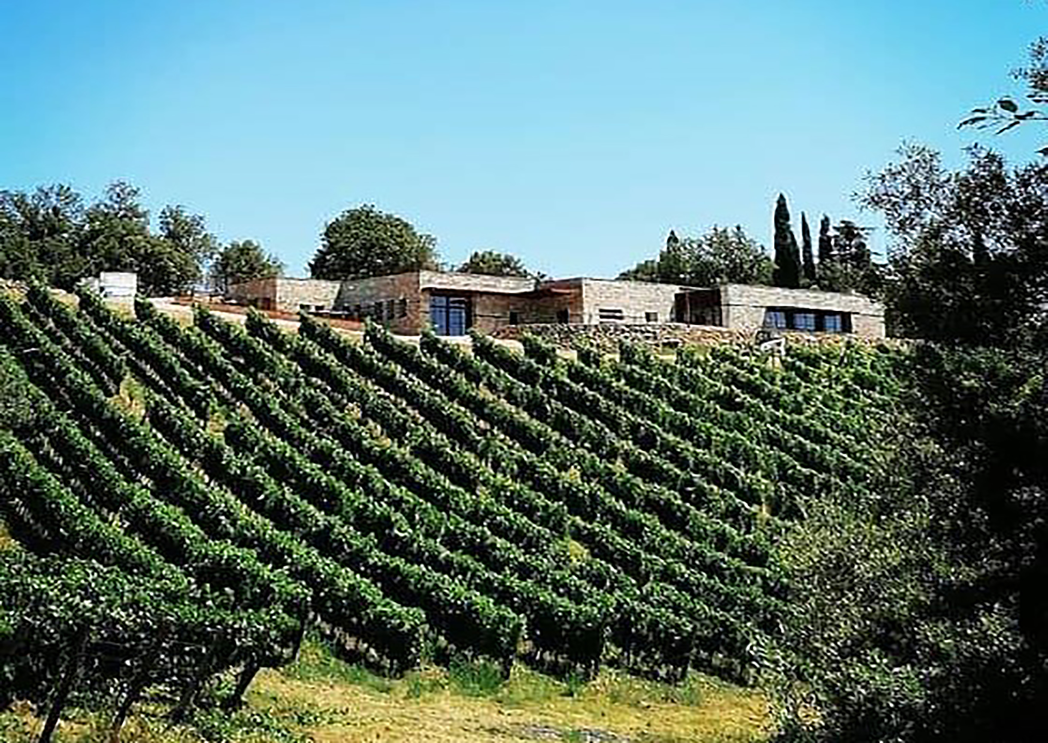 Cantina vinicola “I Mandorli”