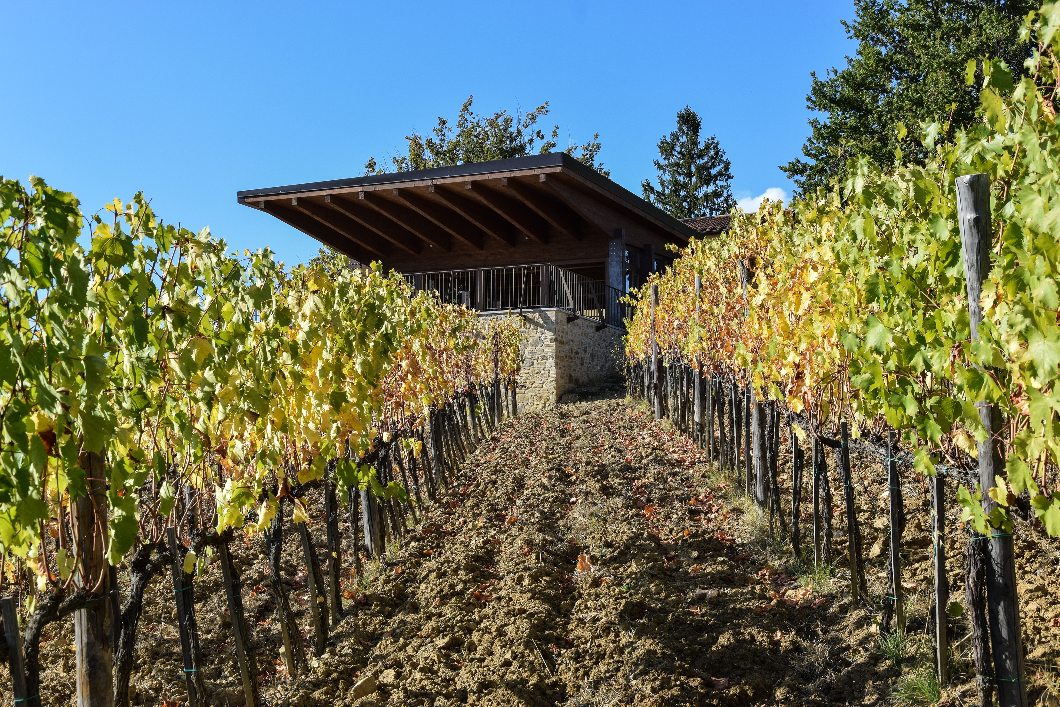 Sala degustazione dell’azienda agricola “Fornacina”