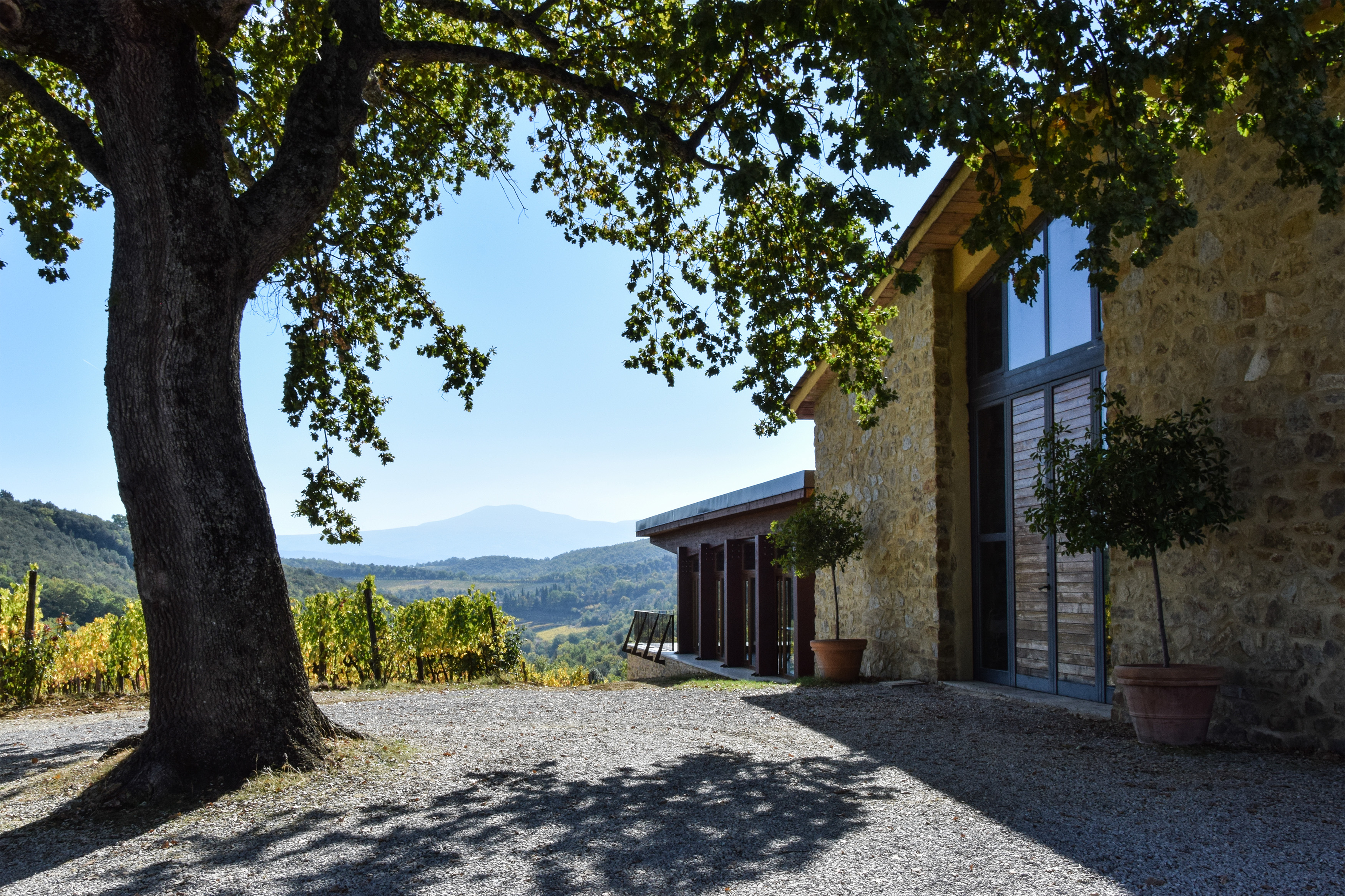 Sala degustazione dell’azienda agricola “Fornacina”