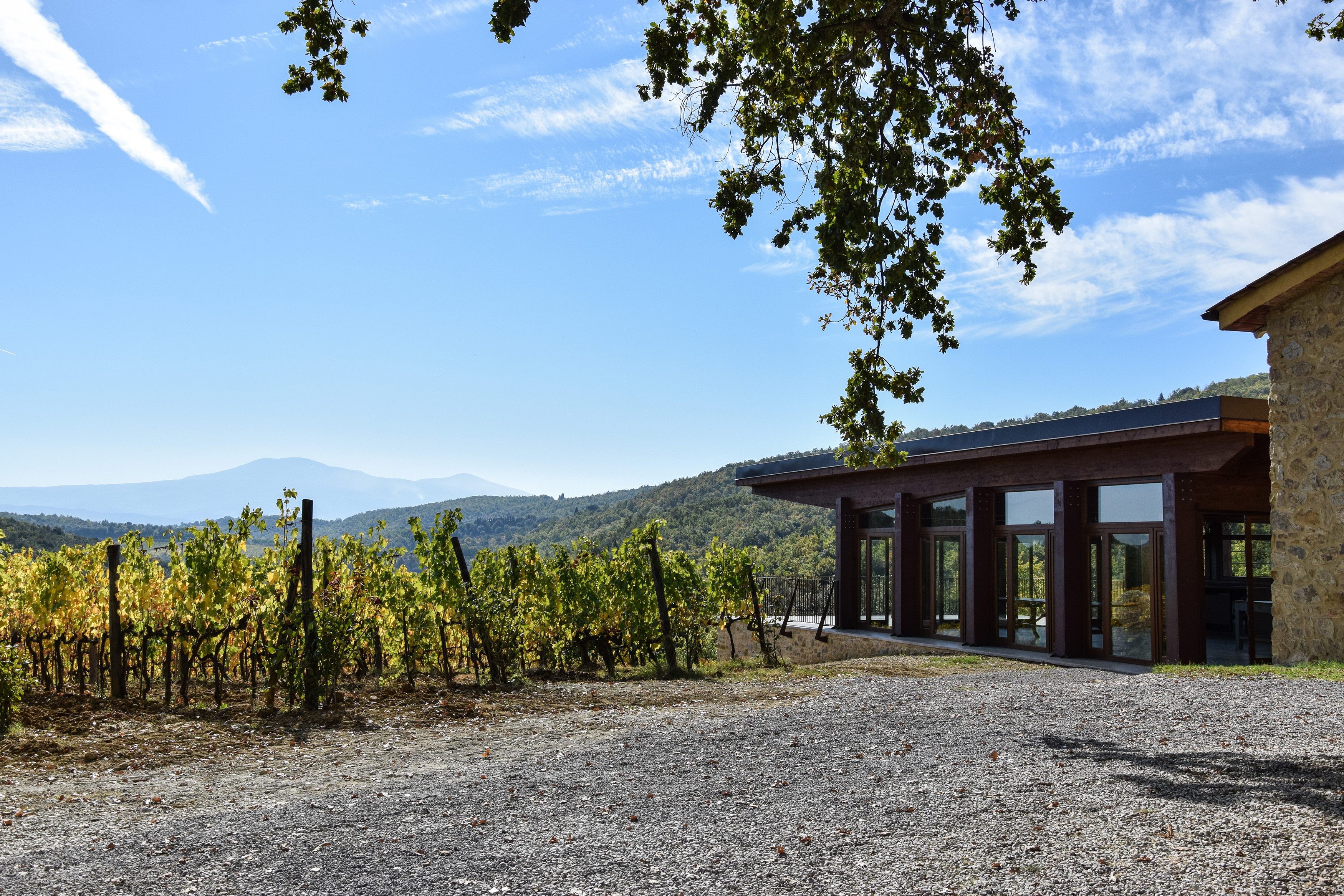 Sala degustazione dell’azienda agricola “Fornacina”
